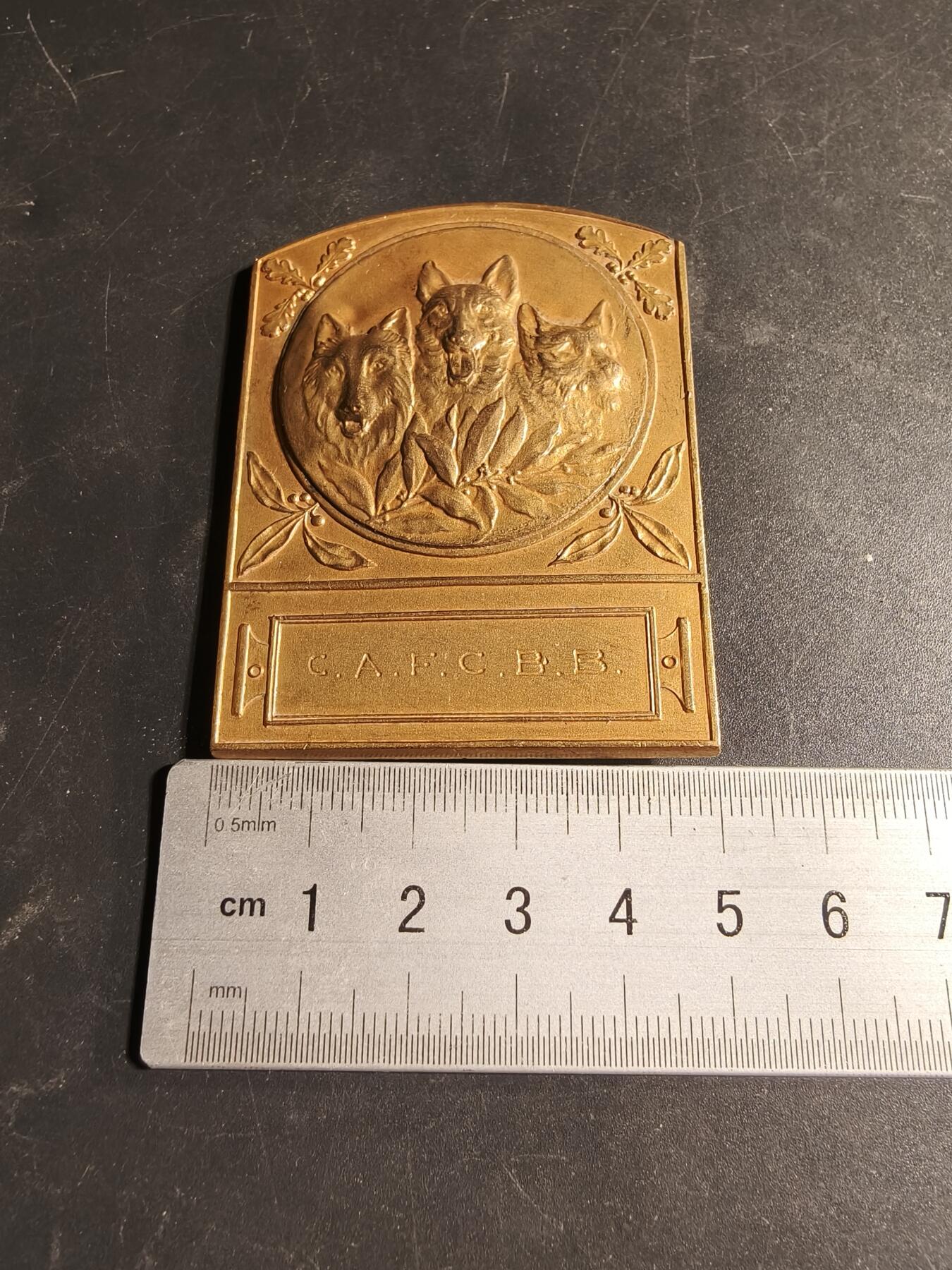 老王徽章第169期 法国宠物犬博览会镀金方形大铜章     尺寸50×64mm.    重量72.6g