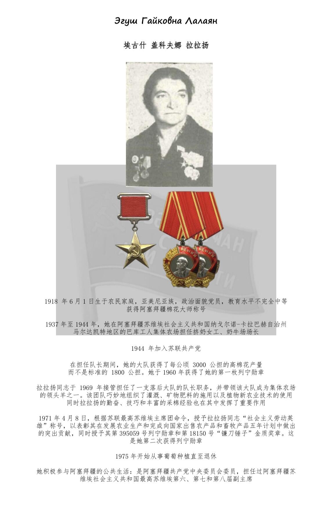 大猫徽章拍卖 第284期 阿塞拜疆第七届最高苏维埃 小红旗 有档案 珐琅右下有极轻微剥皮