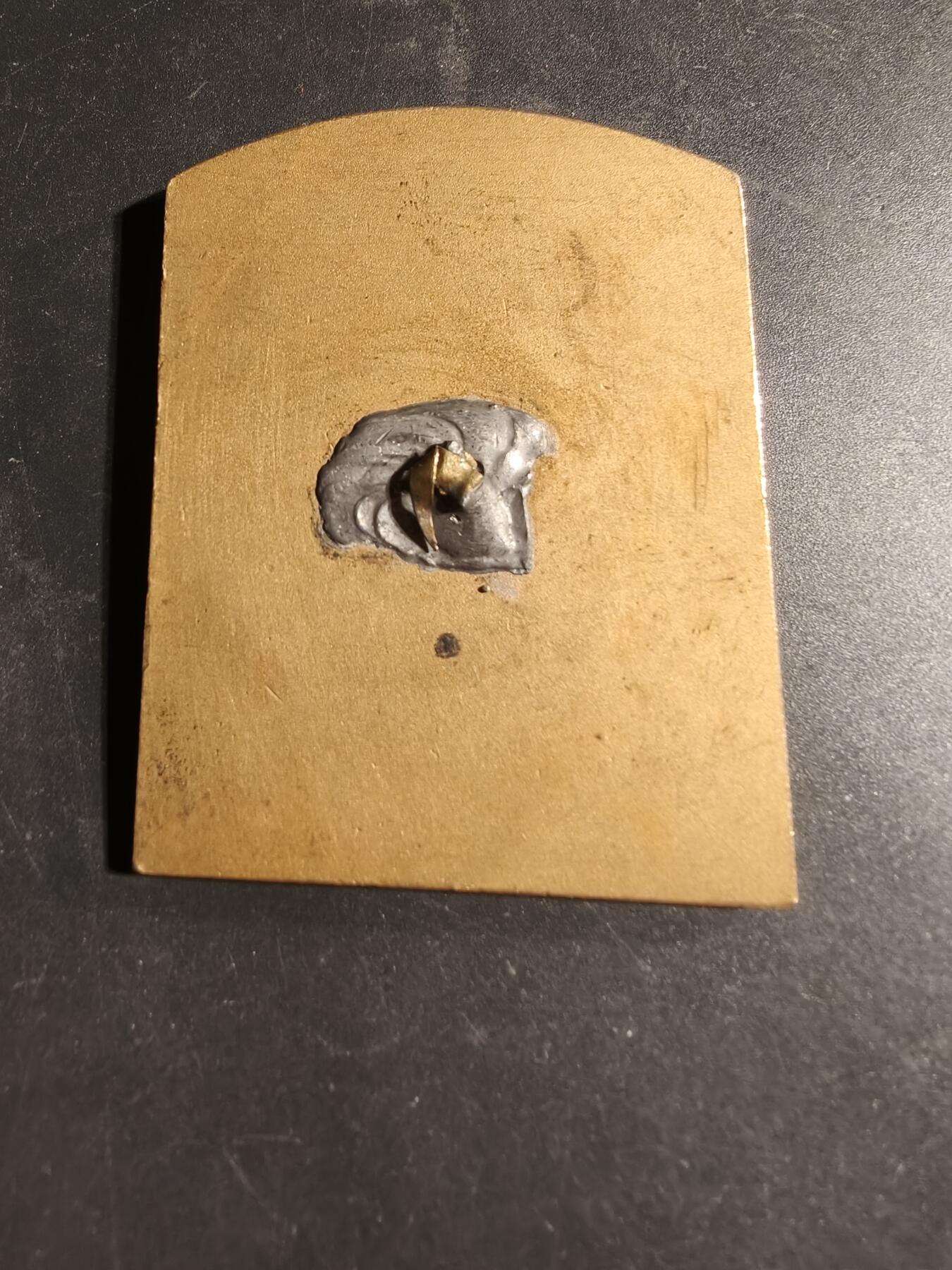 老王徽章第169期 法国宠物犬博览会镀金方形大铜章     尺寸50×64mm.    重量72.6g