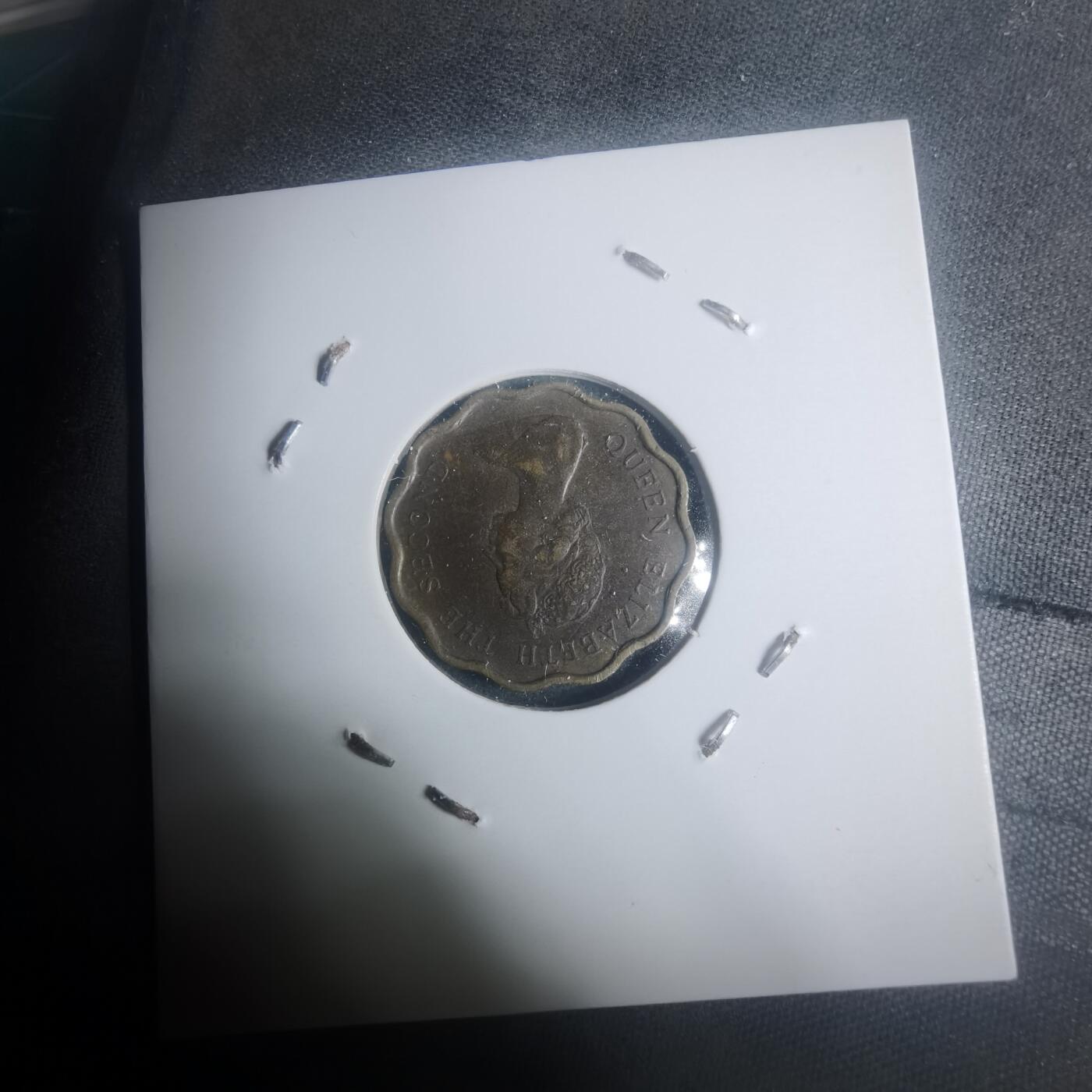 沼泽如烟--第930场