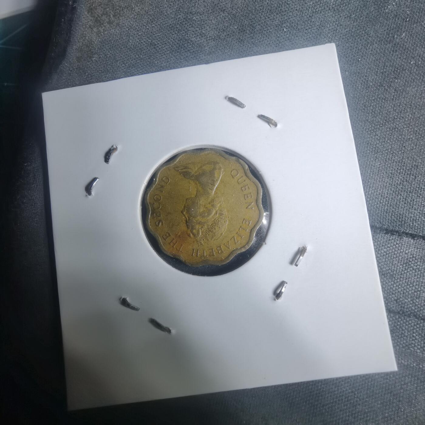 沼泽如烟--第930场