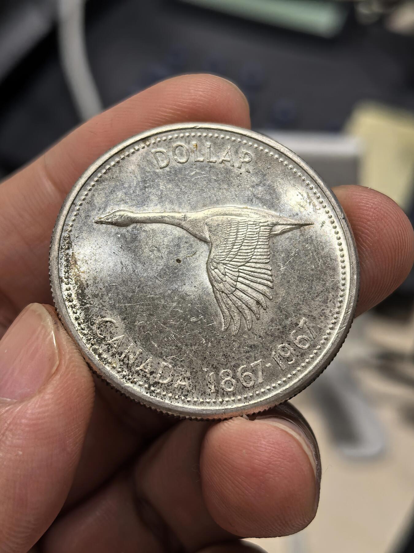 博洋堂世界钱币拍卖第151期（全场包邮） 加拿大1967年建国一百周年大雁纪念大银币，原光好品