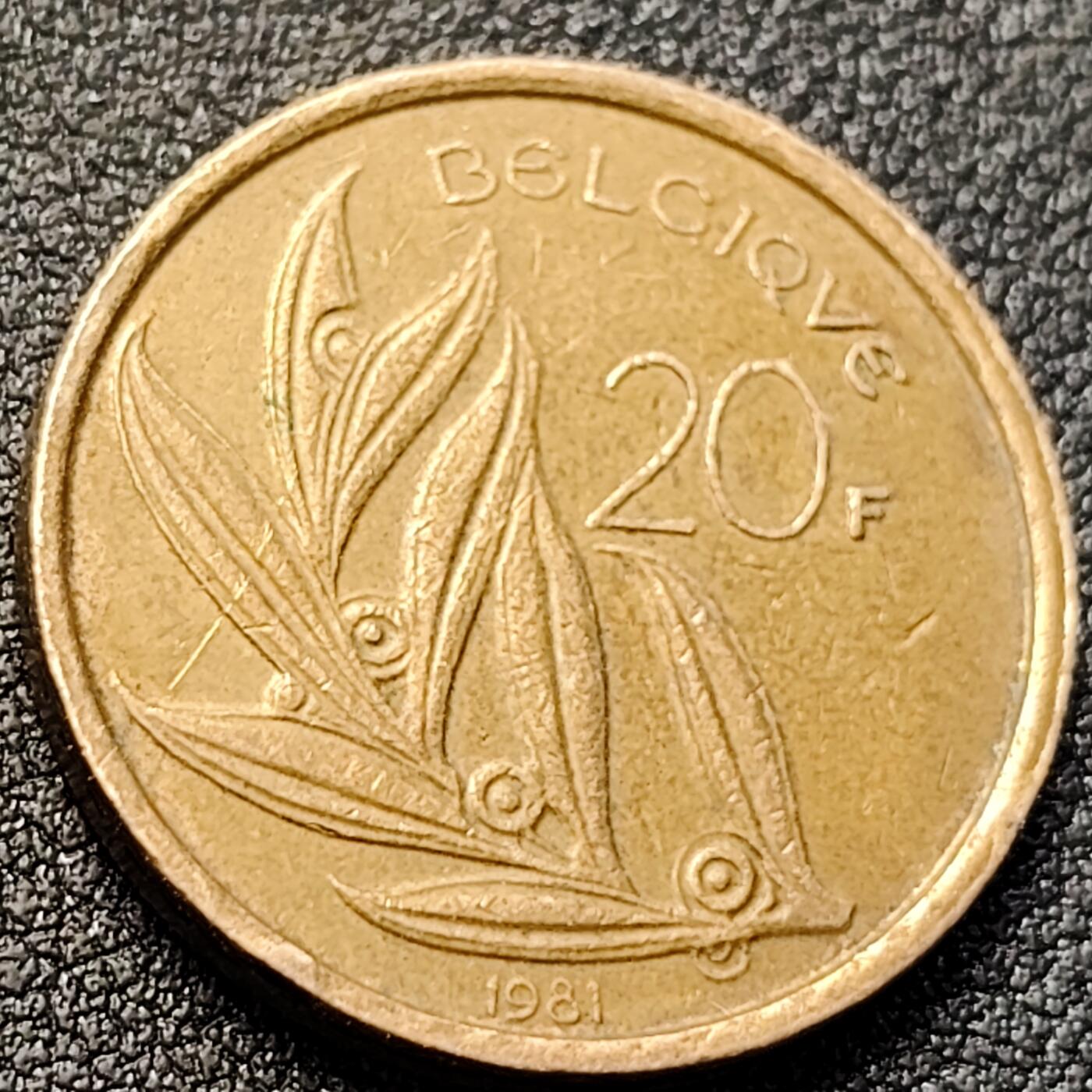 泉币菌-第146场-精品福利场 。