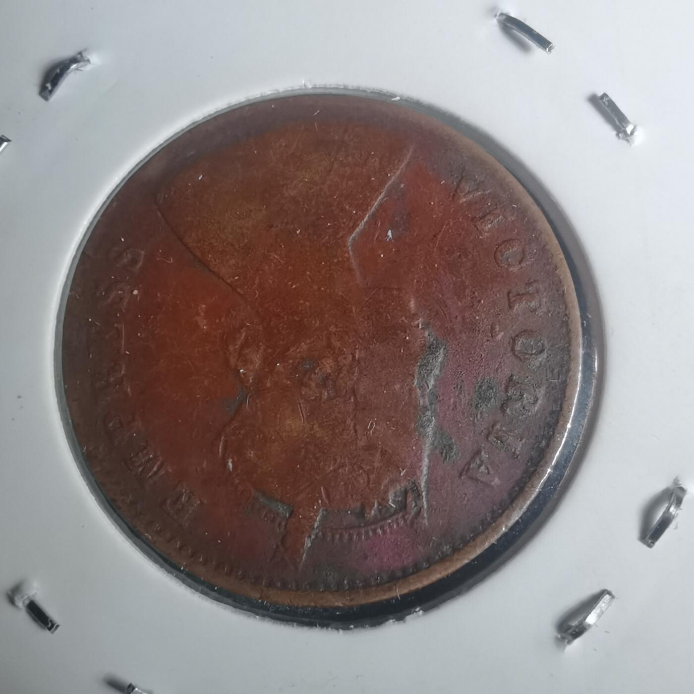 沼泽如烟--第930场