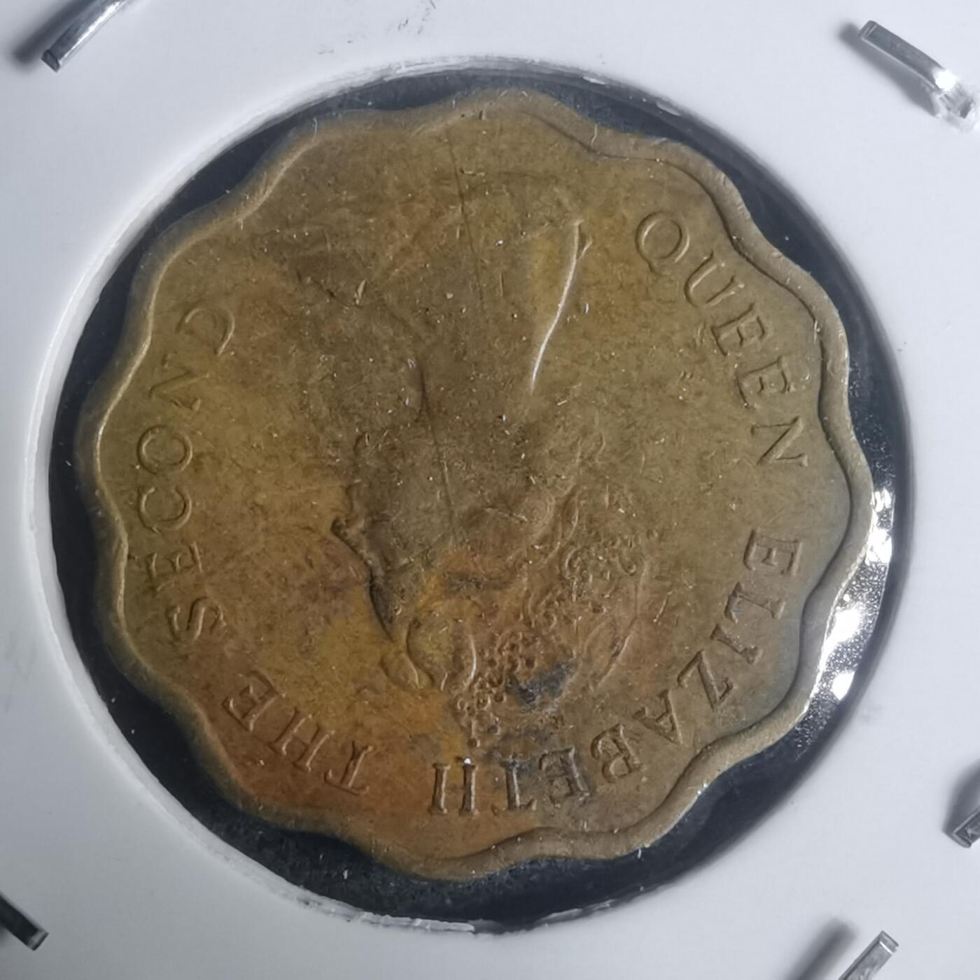 沼泽如烟--第930场