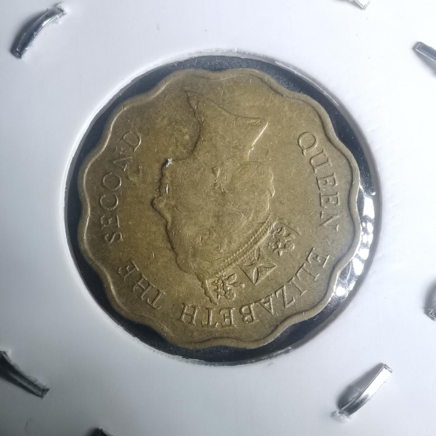 沼泽如烟--第930场