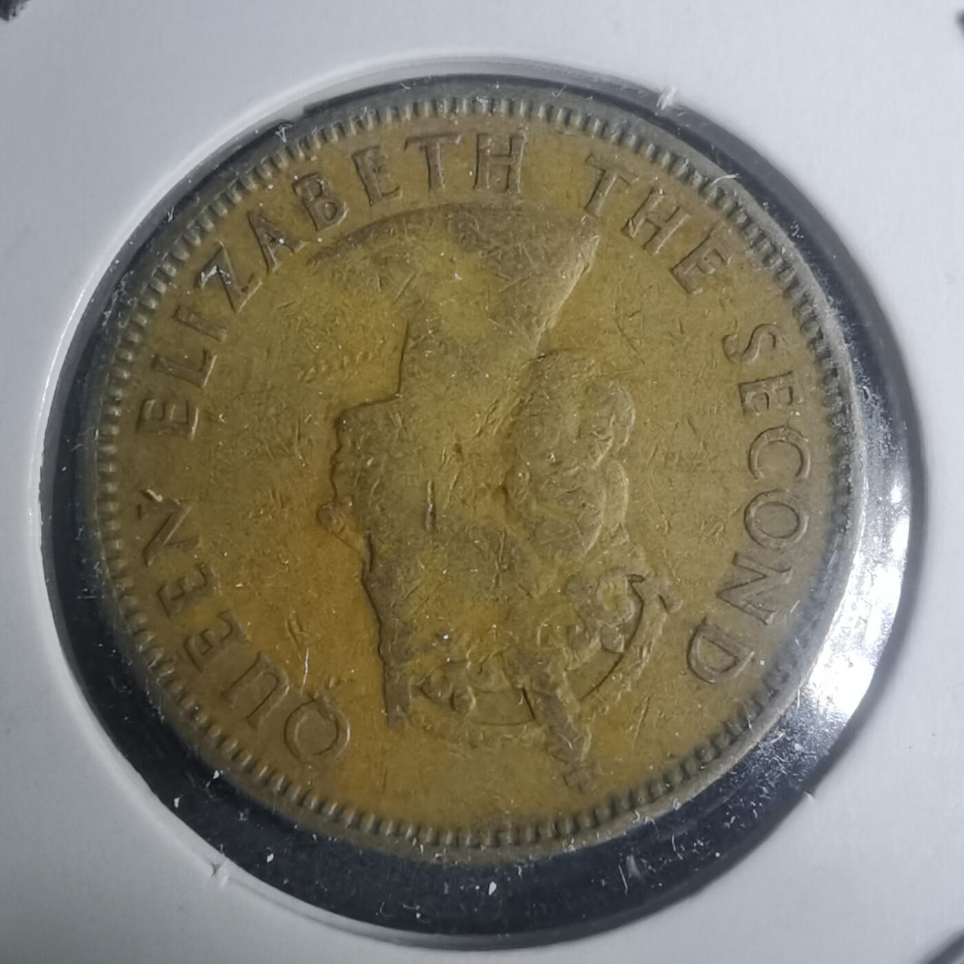 沼泽如烟--第930场