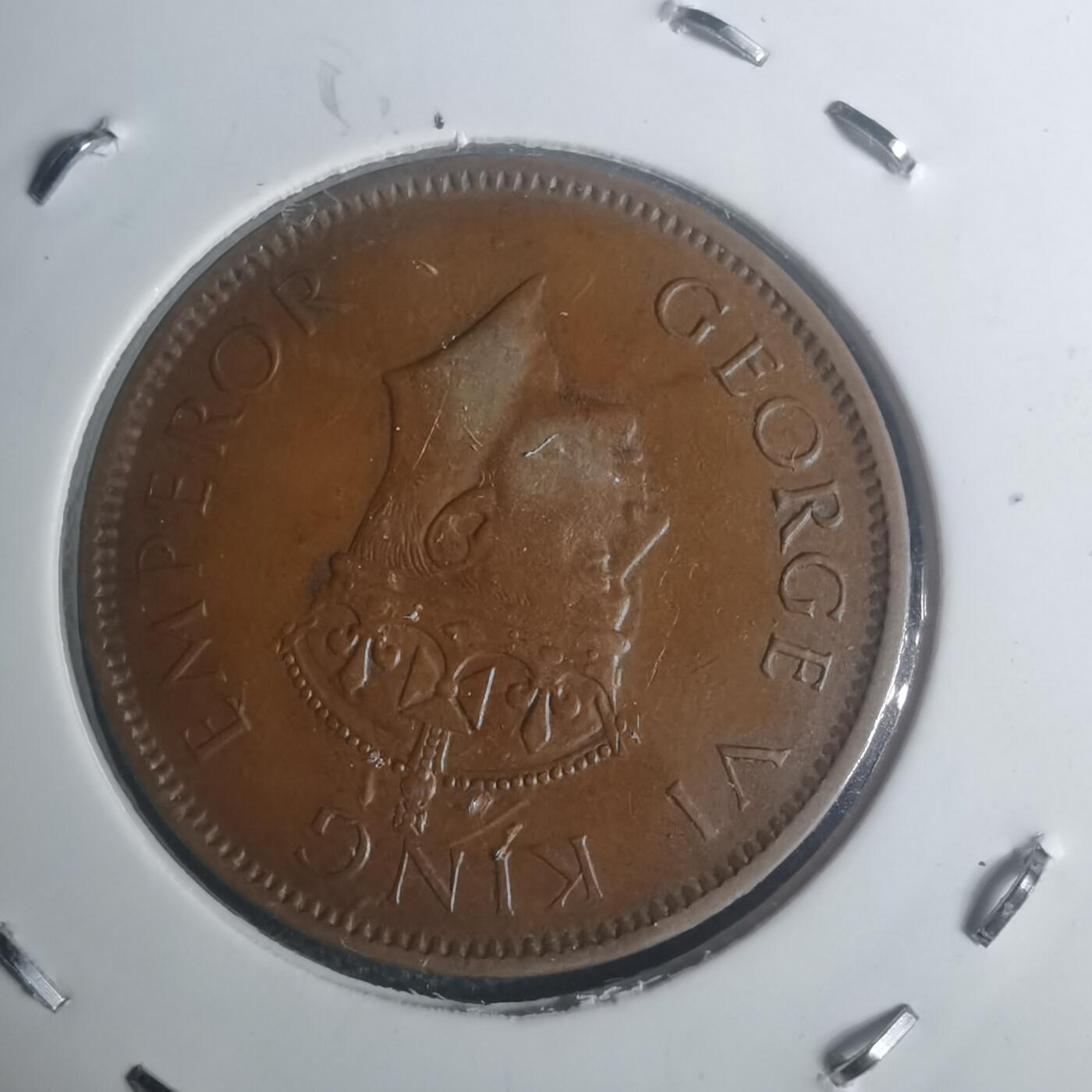 沼泽如烟--第930场