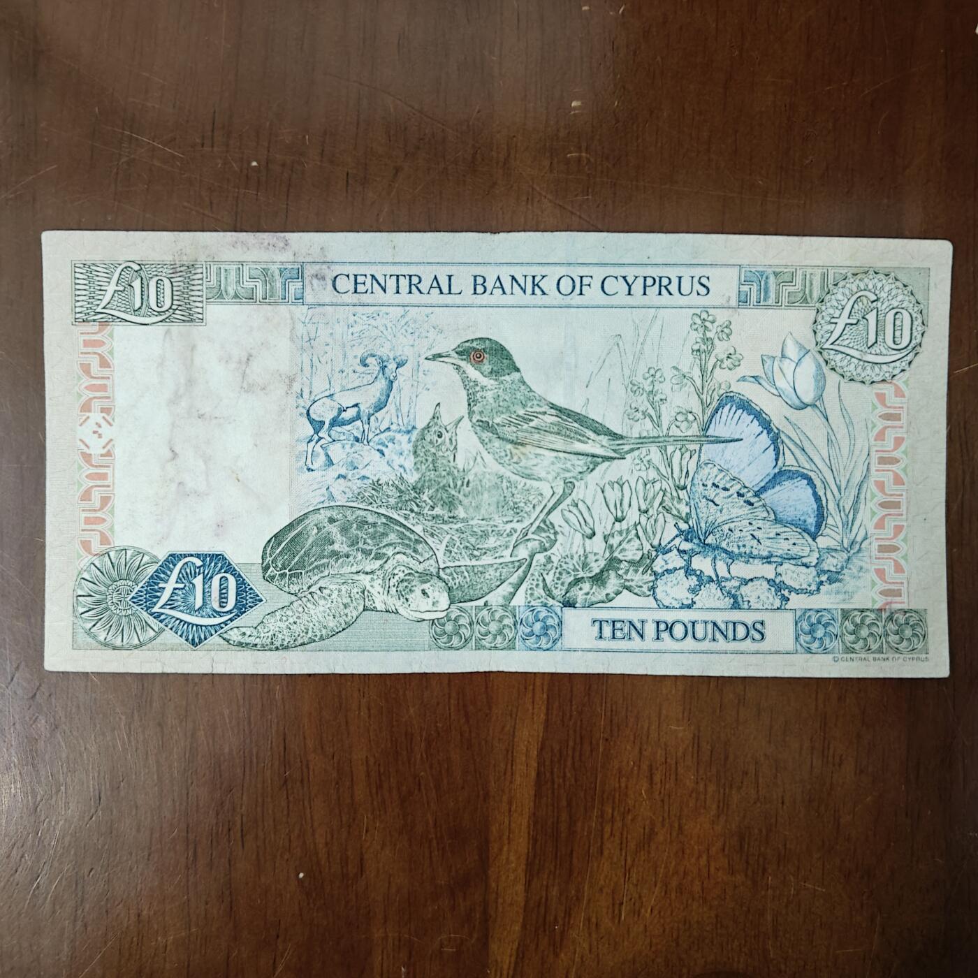 塞浦路斯 1997年10镑 纸币 精美动物群 流通品实物图原图片