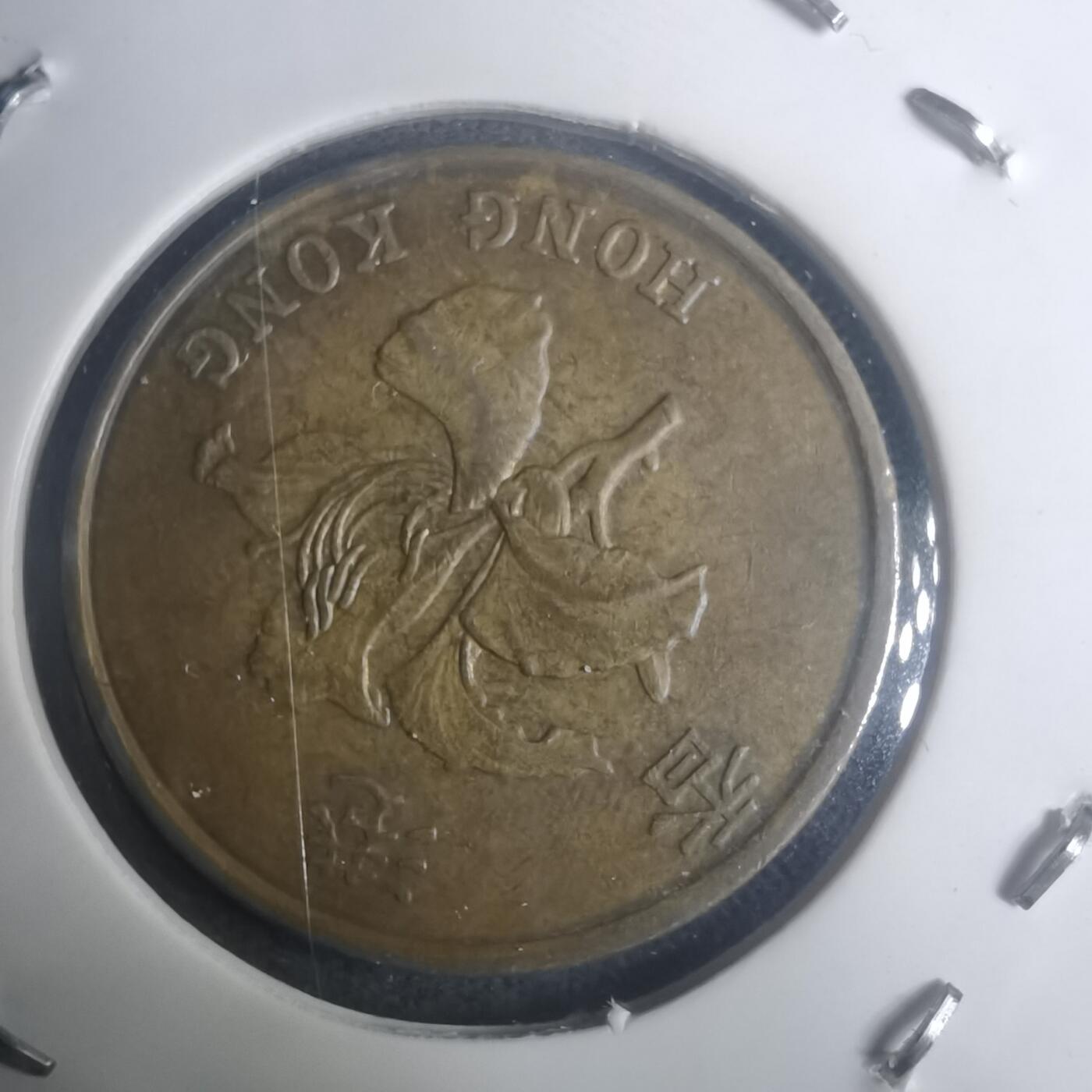 沼泽如烟--第930场