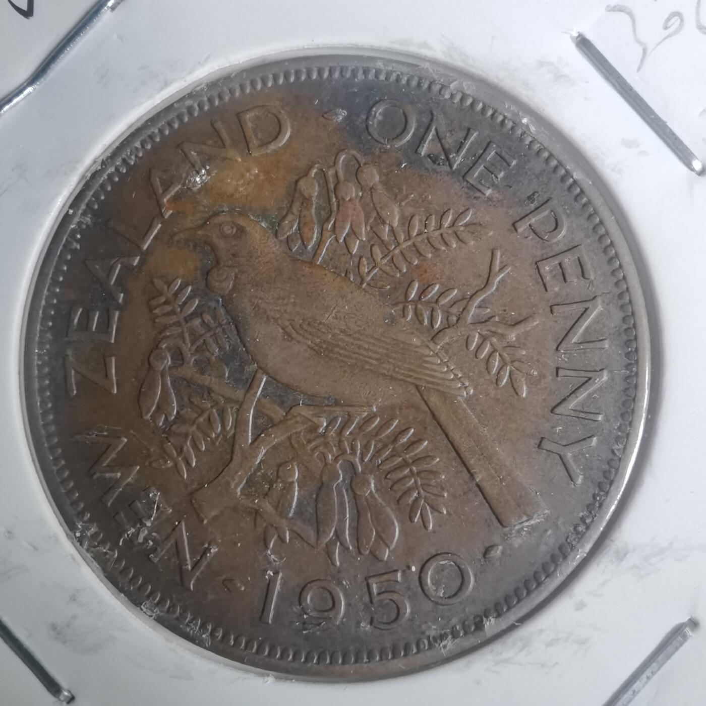 沼泽如烟--第930场