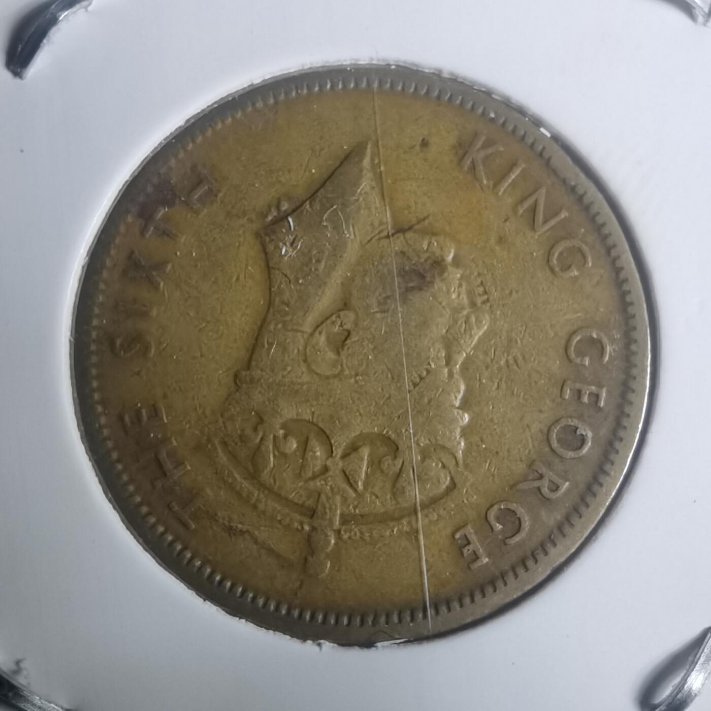 沼泽如烟--第930场