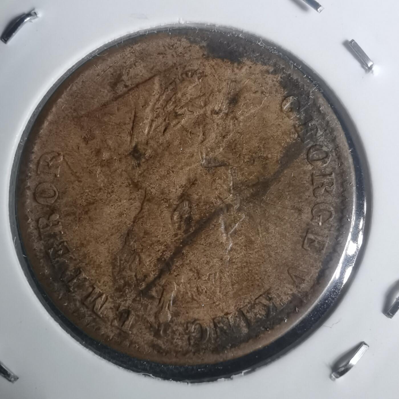 沼泽如烟--第930场