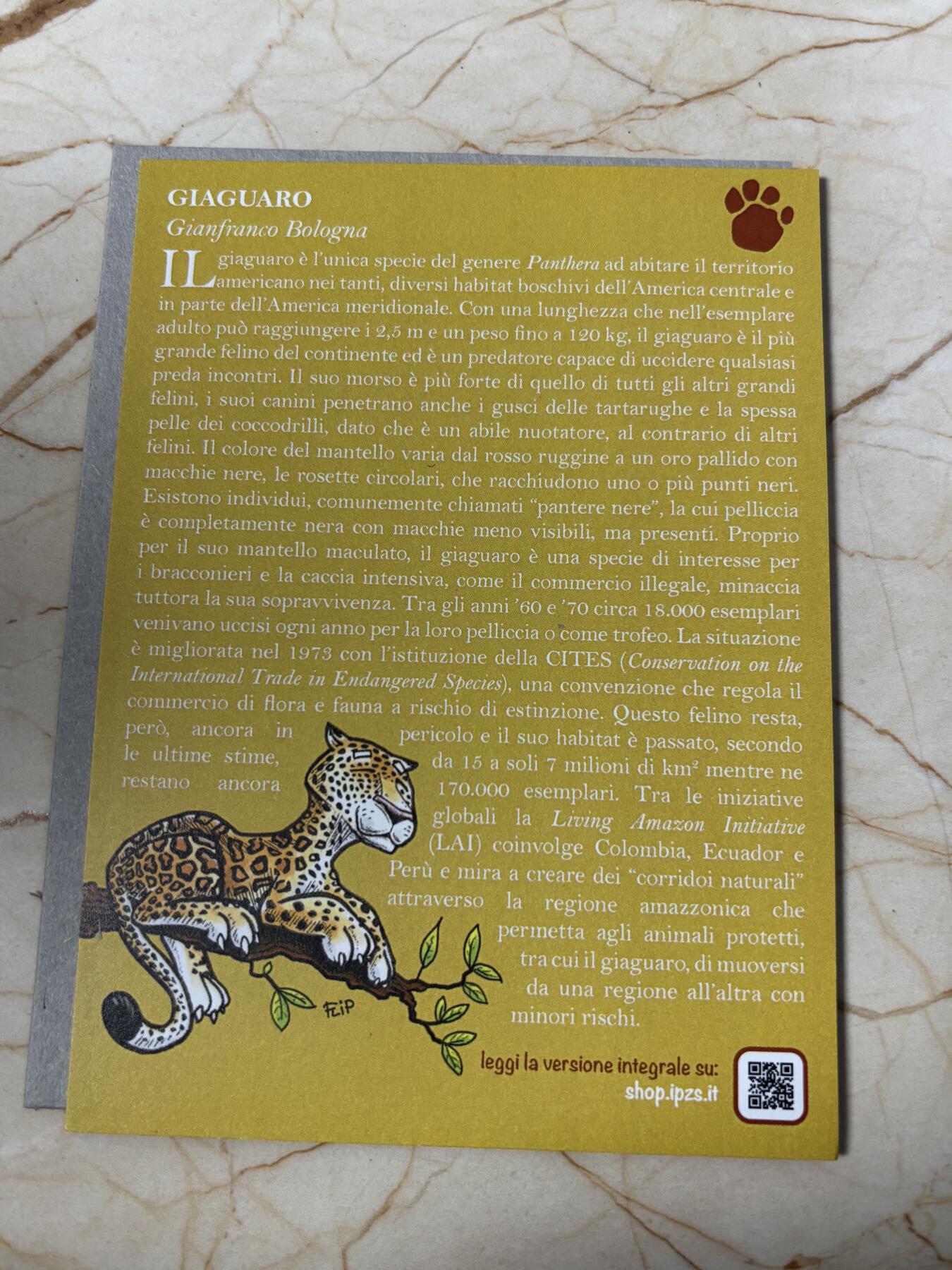 第185期拍卖 卡装意大利2022年动物园系列夜光捷豹精制纪念币