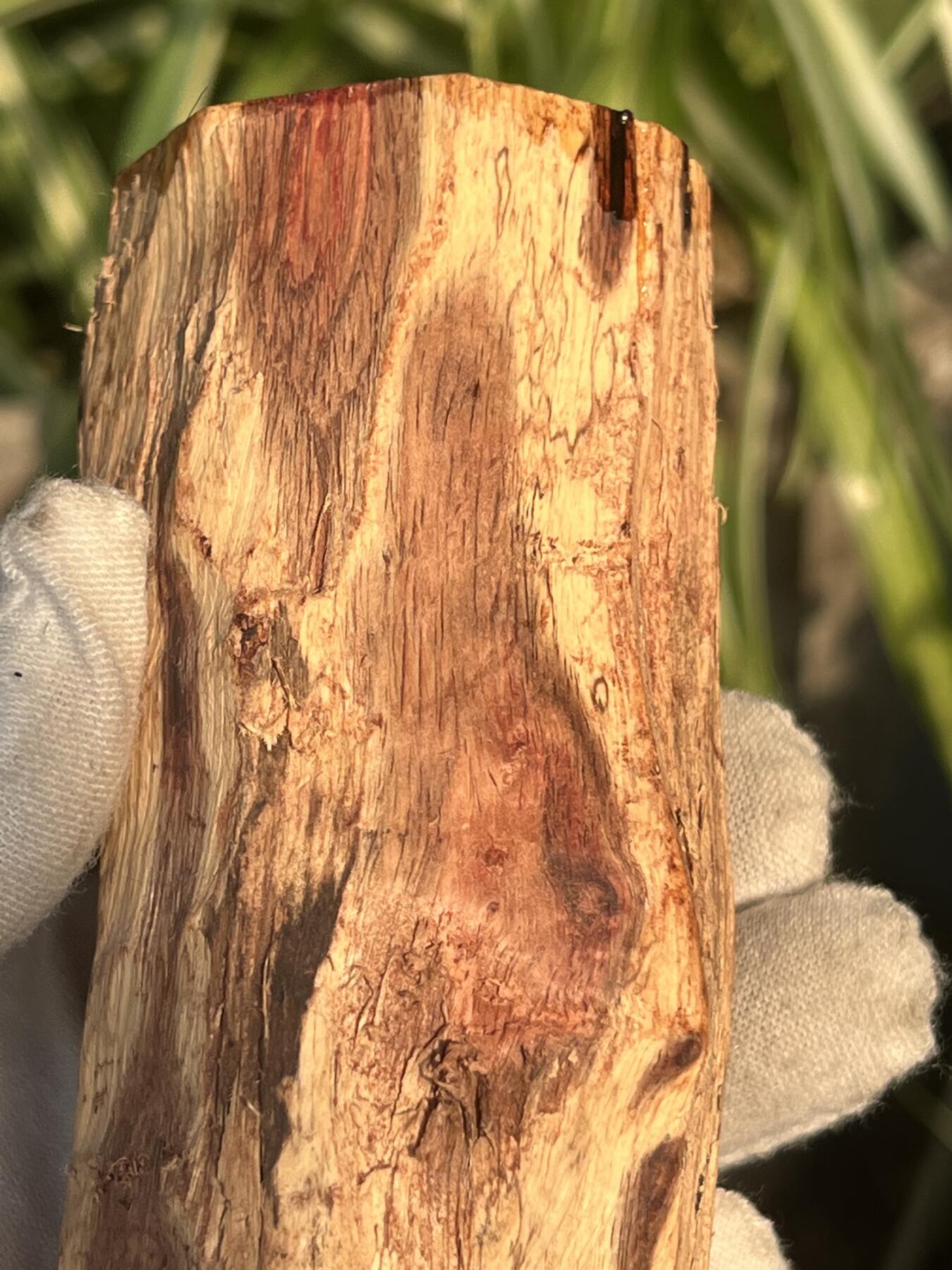 零元拍： 海南黄花梨油梨原料。120/46MM