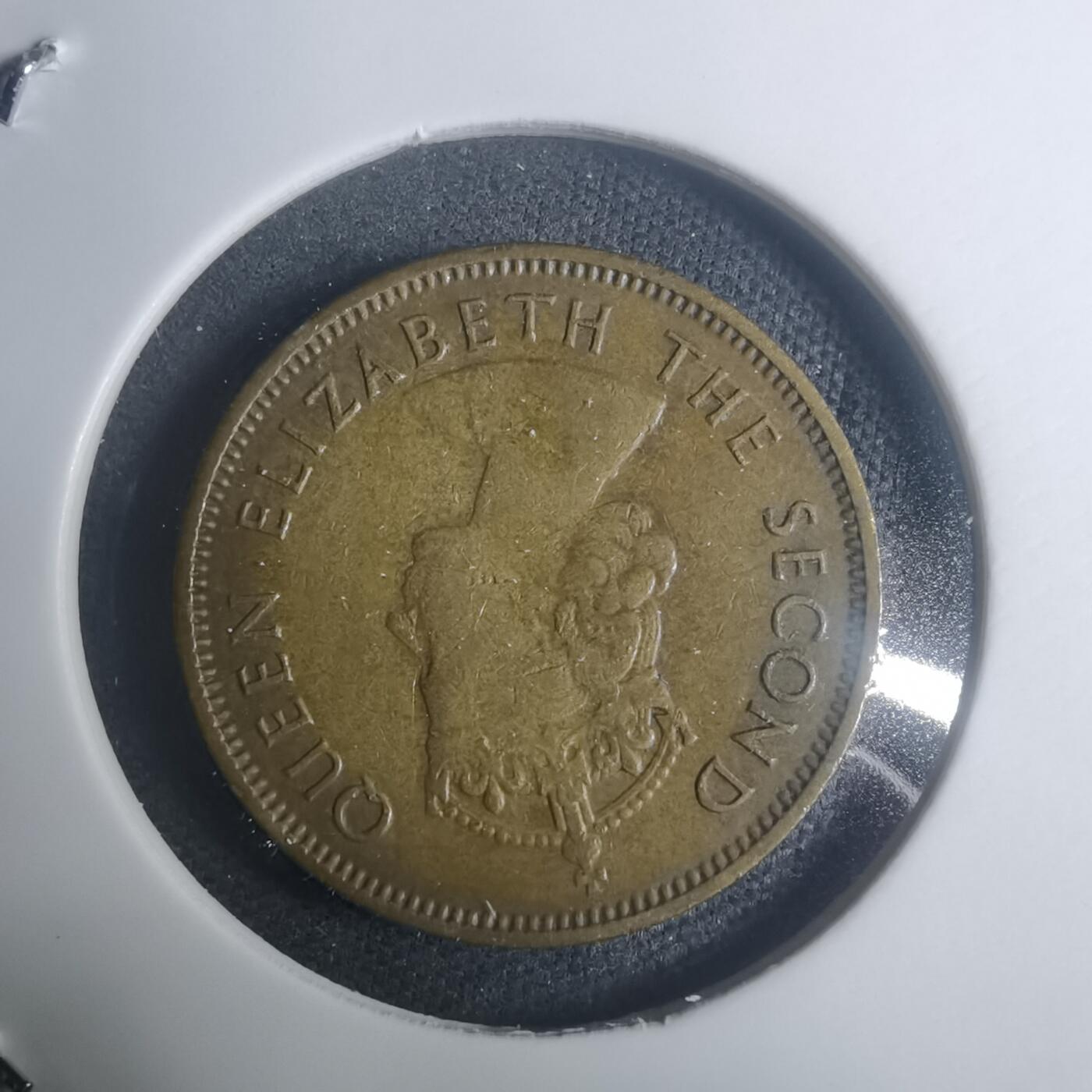 沼泽如烟--第930场