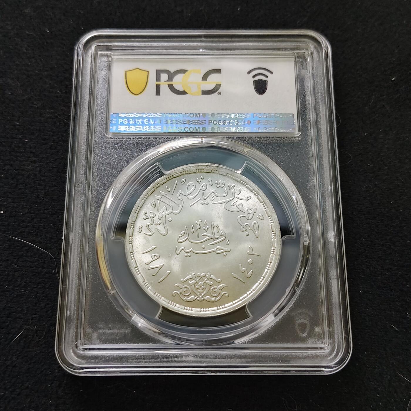 【全场包邮】纯粹捡漏拍487场（免费代拍第24场）