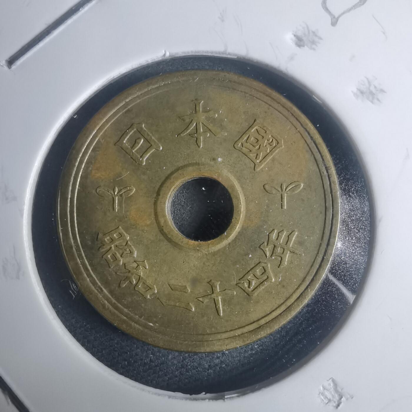 沼泽如烟--第930场