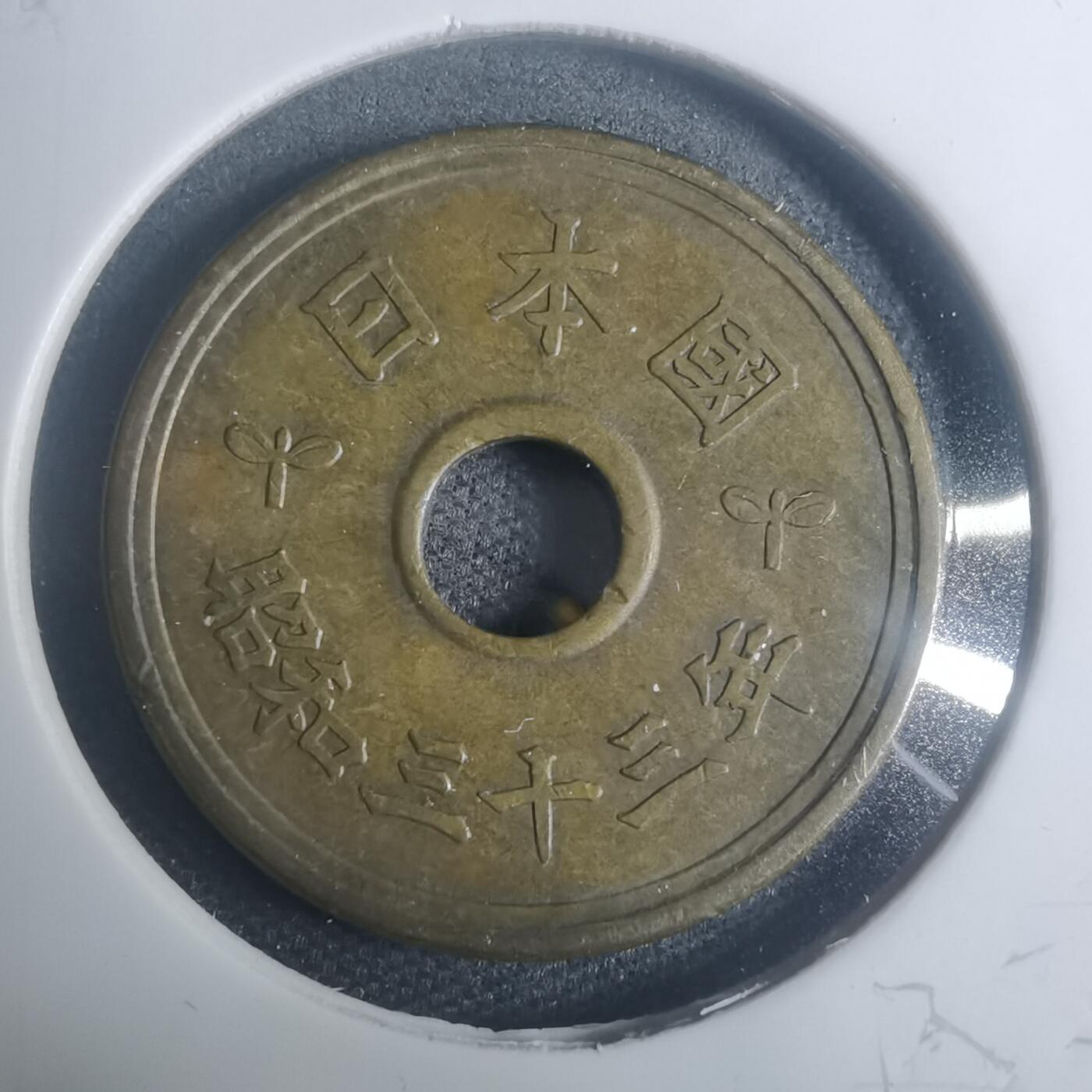 沼泽如烟--第930场