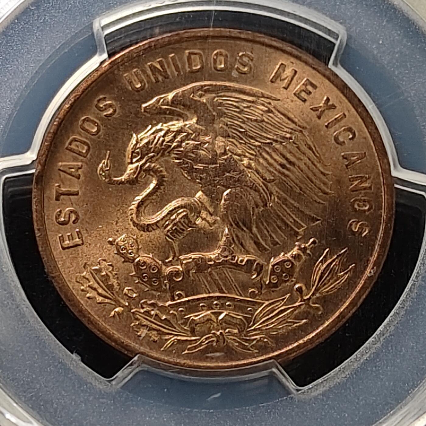 【全场包邮】纯粹捡漏拍487场（免费代拍第24场）