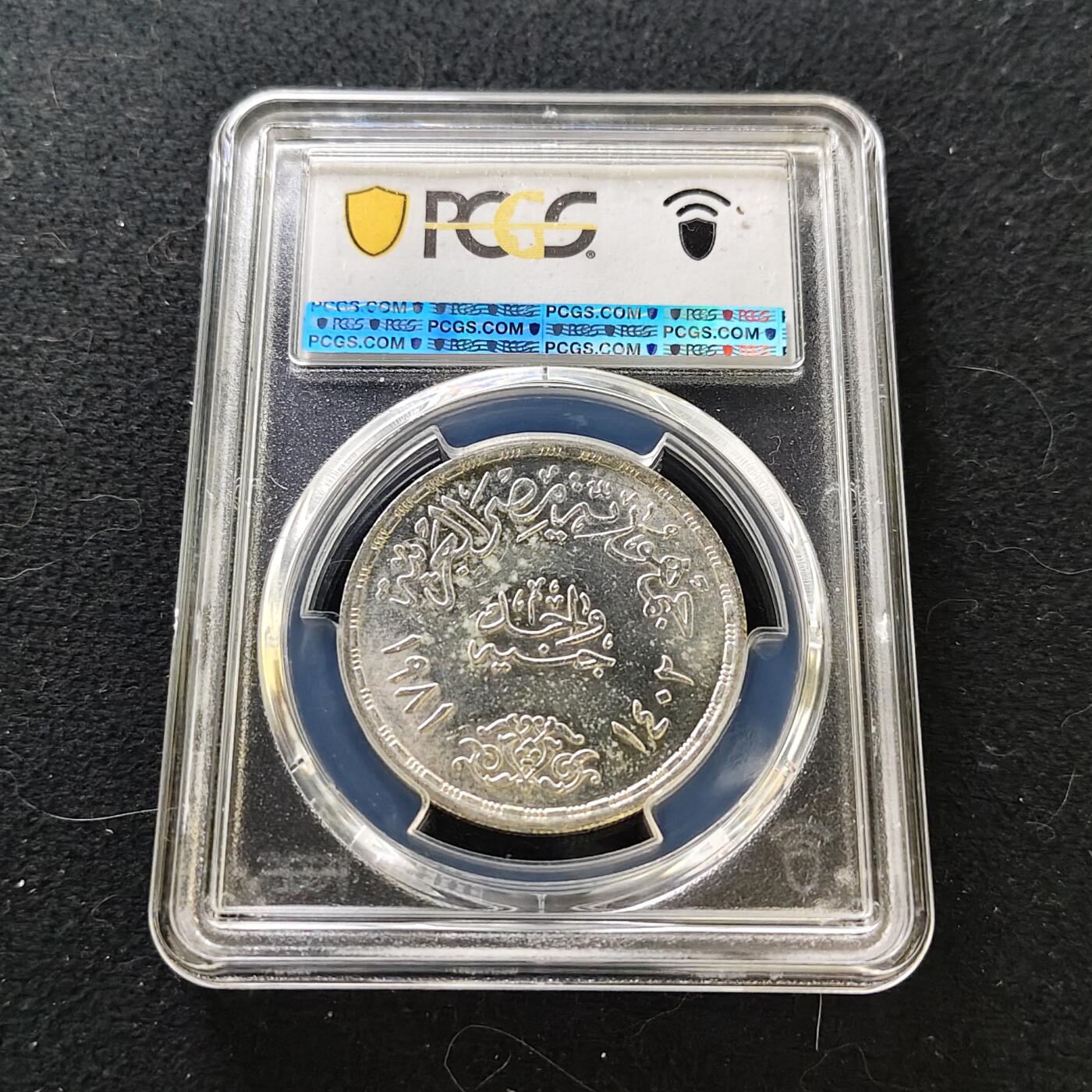 【全场包邮】纯粹捡漏拍487场（免费代拍第24场）