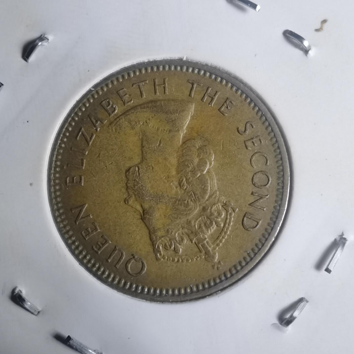 沼泽如烟--第930场