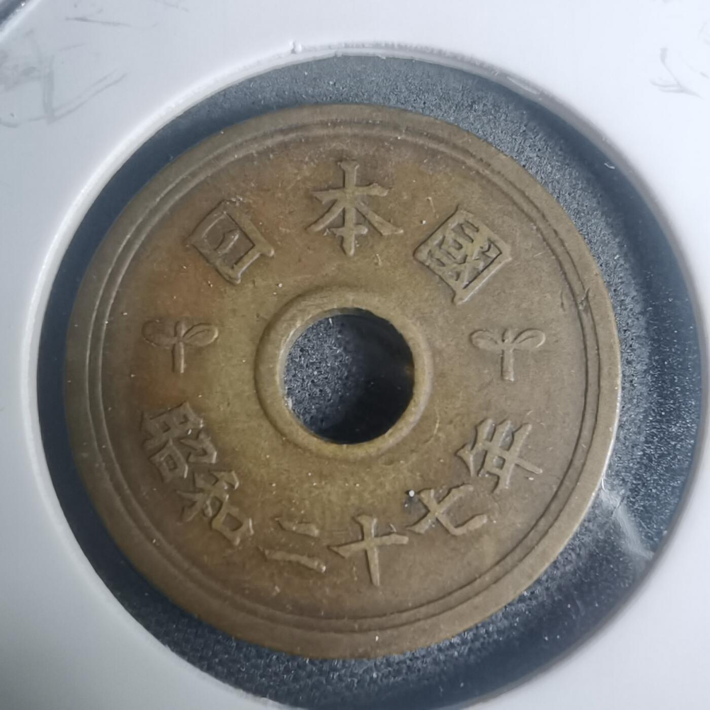 沼泽如烟--第930场