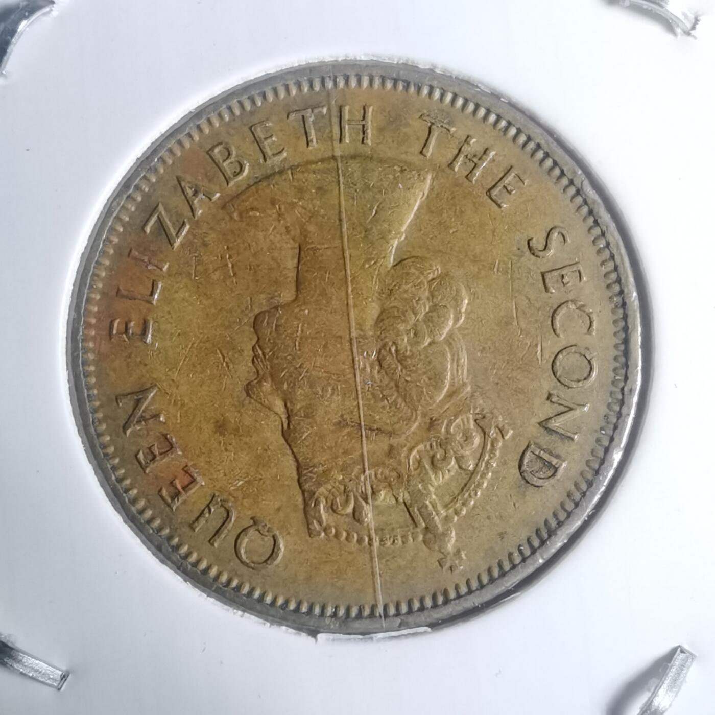 沼泽如烟--第930场