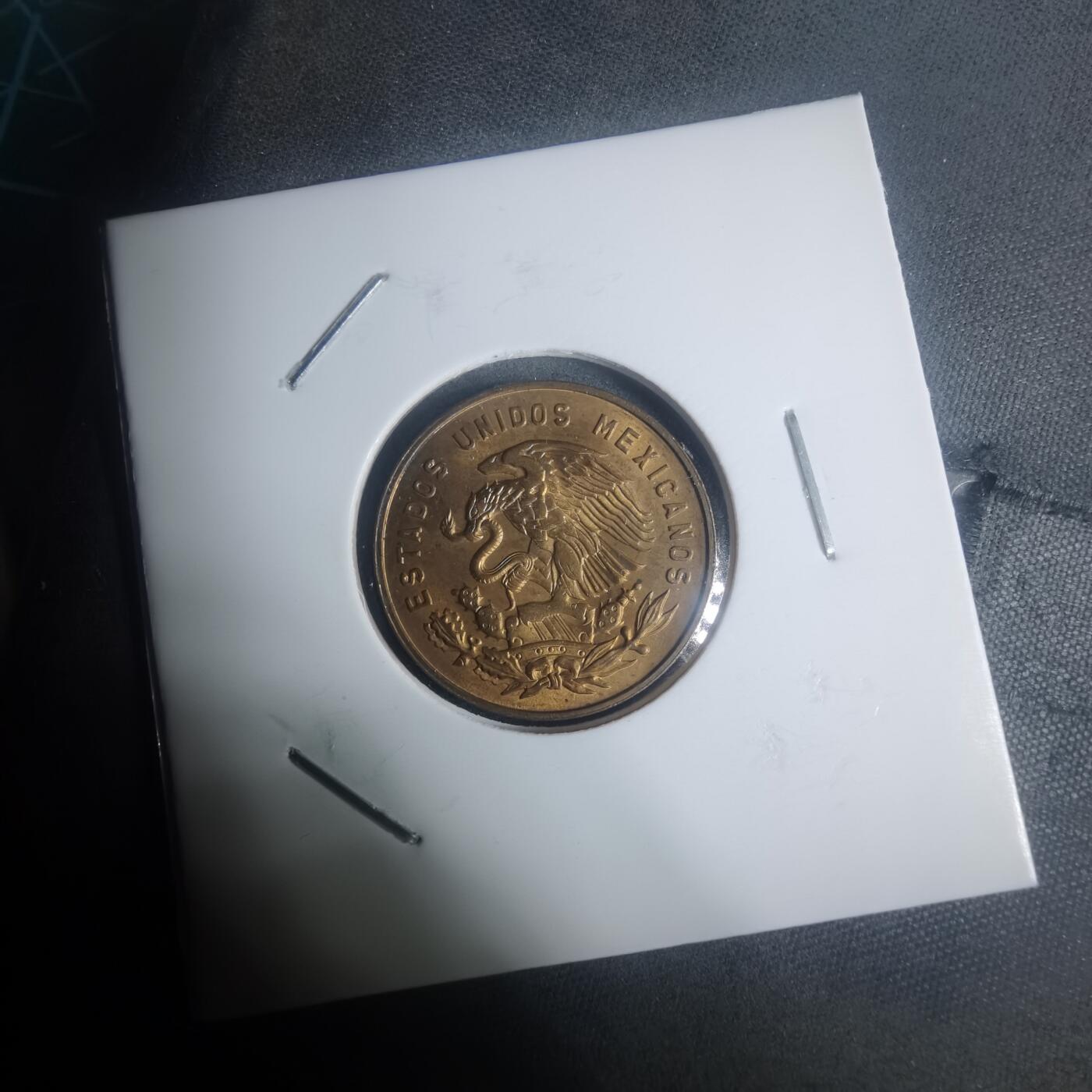 沼泽如烟--第930场