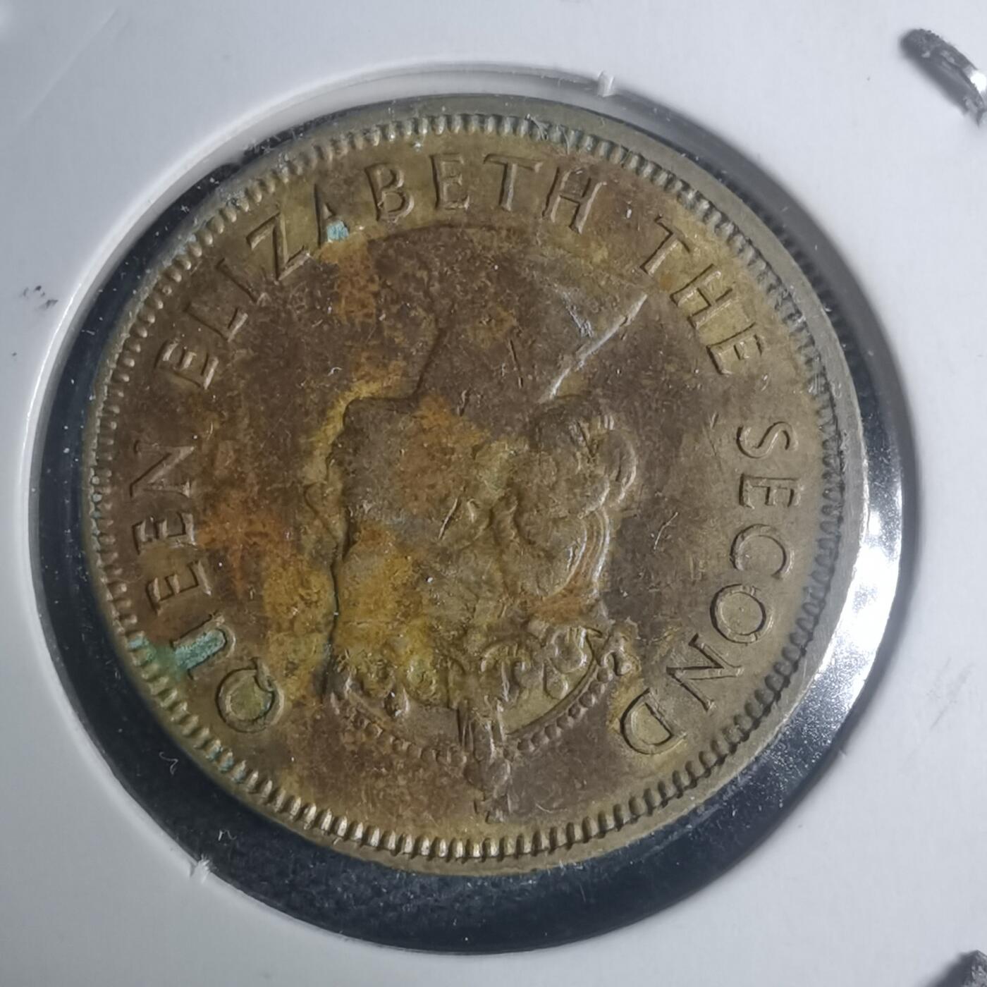 沼泽如烟--第930场