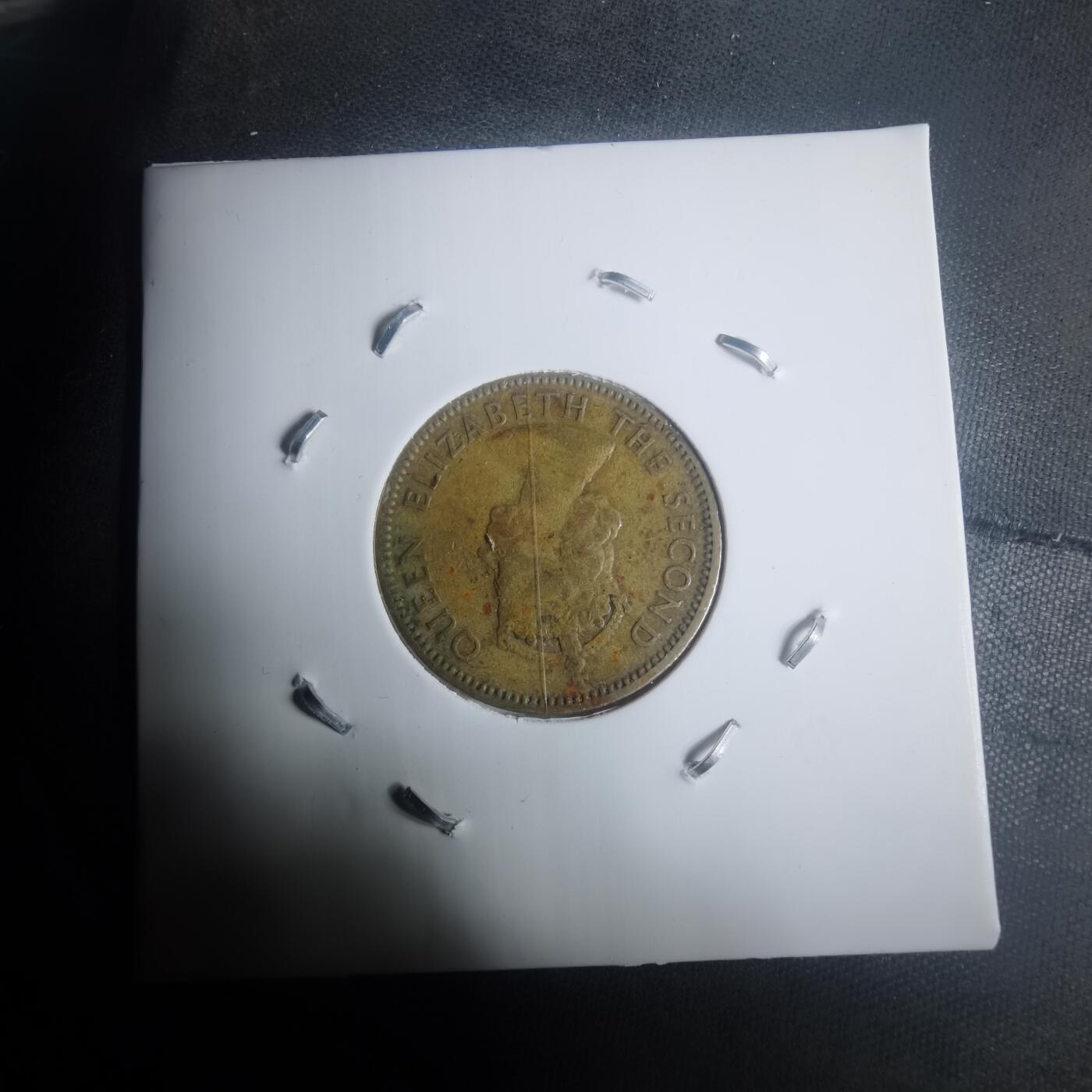 沼泽如烟--第930场