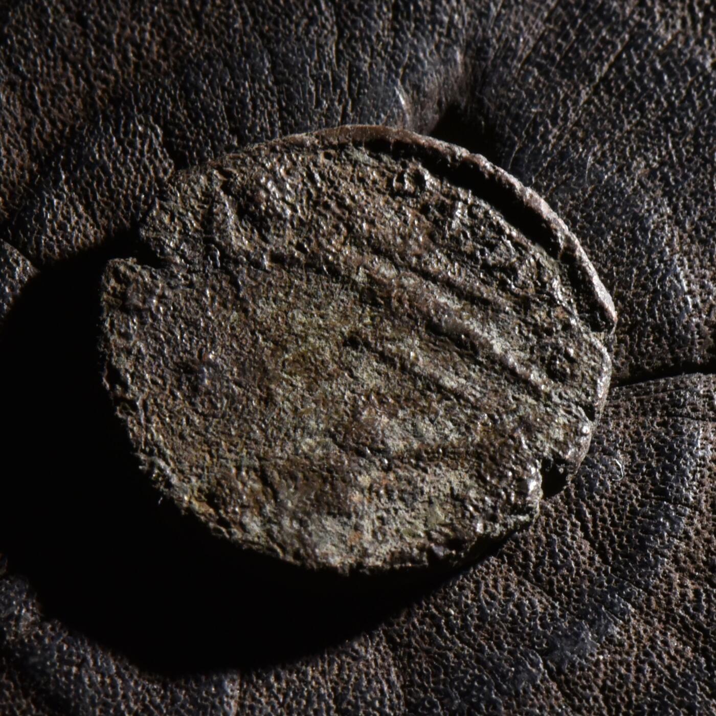 【良泉】【元旦直播场】1月1日晚19.30点开拍！208组西方古代钱币、日本朝鲜花钱 【百分币】公元350-355年【古罗马】君士坦提乌斯二世表弟——加卢斯，大铜币，5.05克