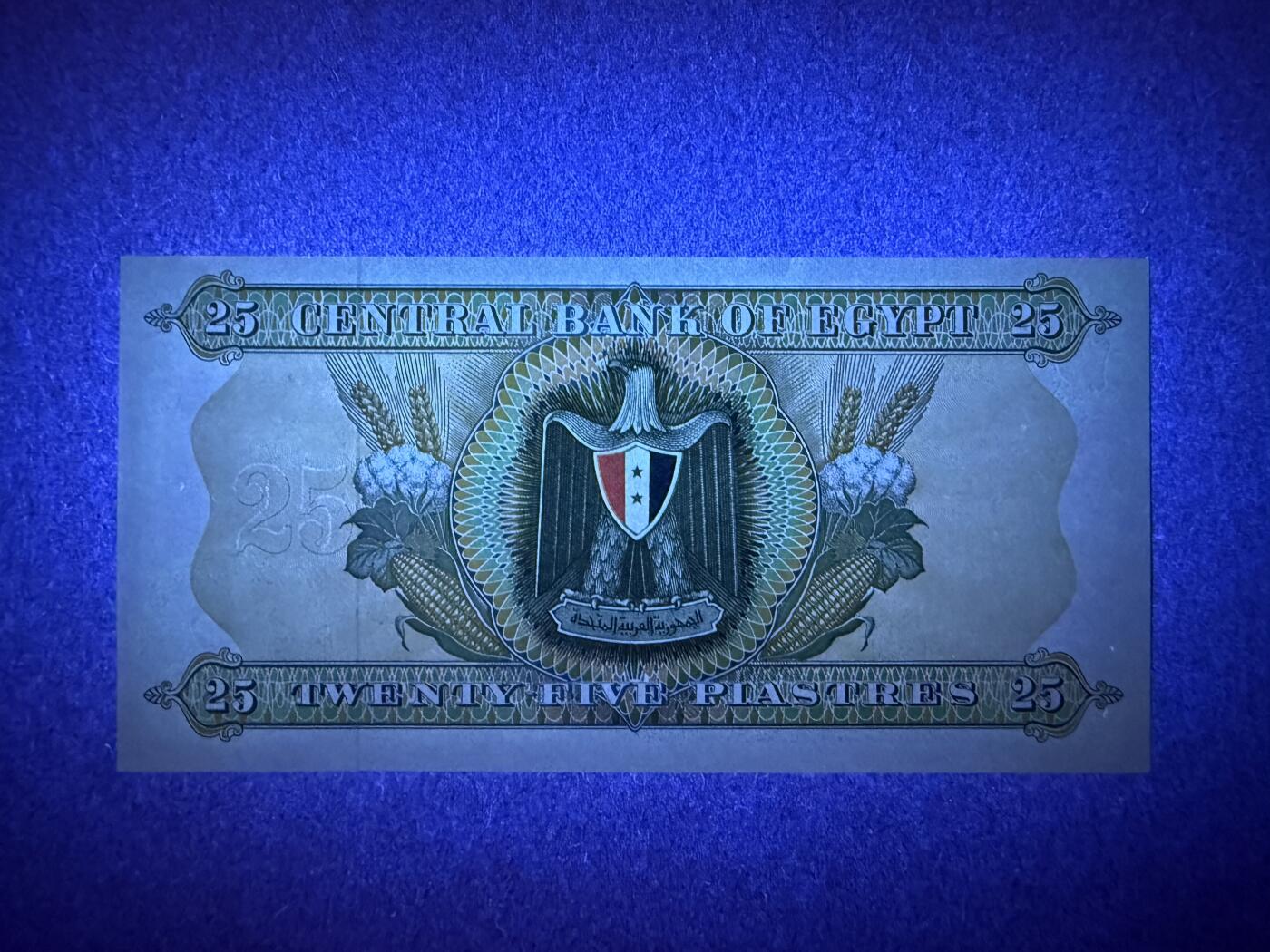 《艾美收藏》第224期-12.14周日外币超白金场 埃及25皮 UNC 1970年