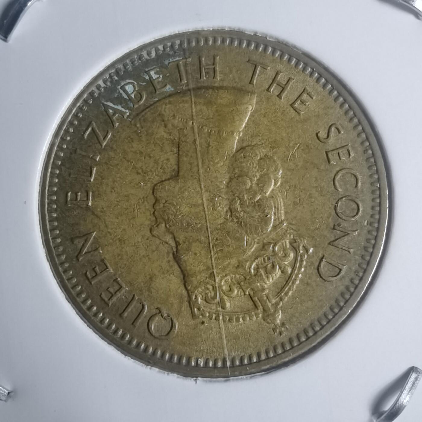 沼泽如烟--第930场