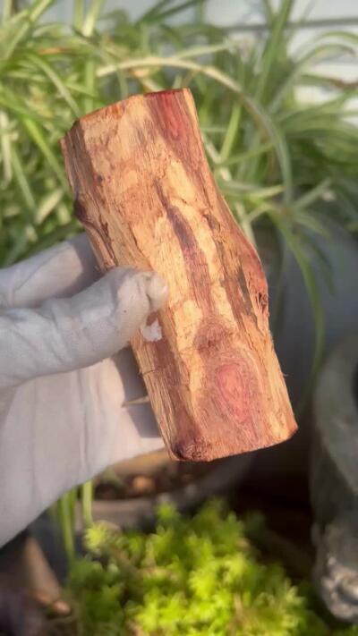 零元拍： 海南黄花梨油梨原料。120/46MM