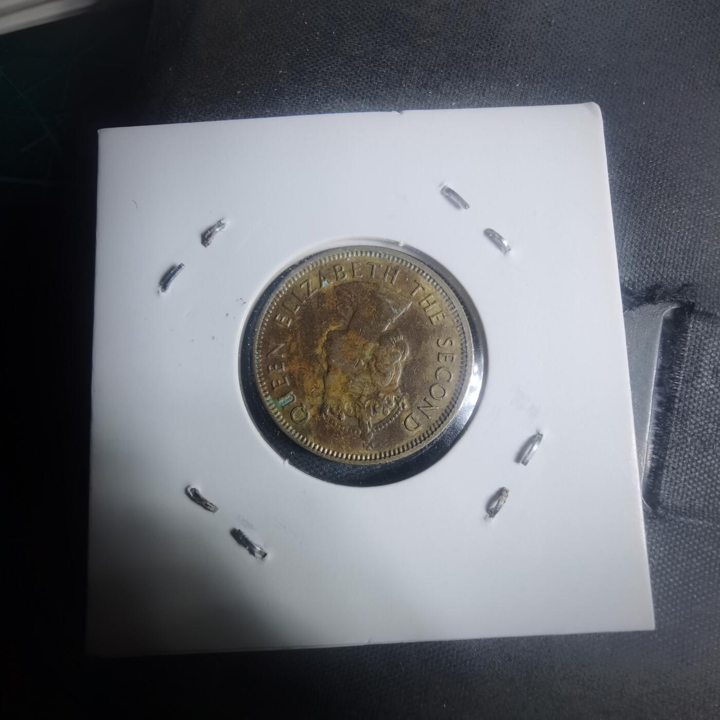 沼泽如烟--第930场