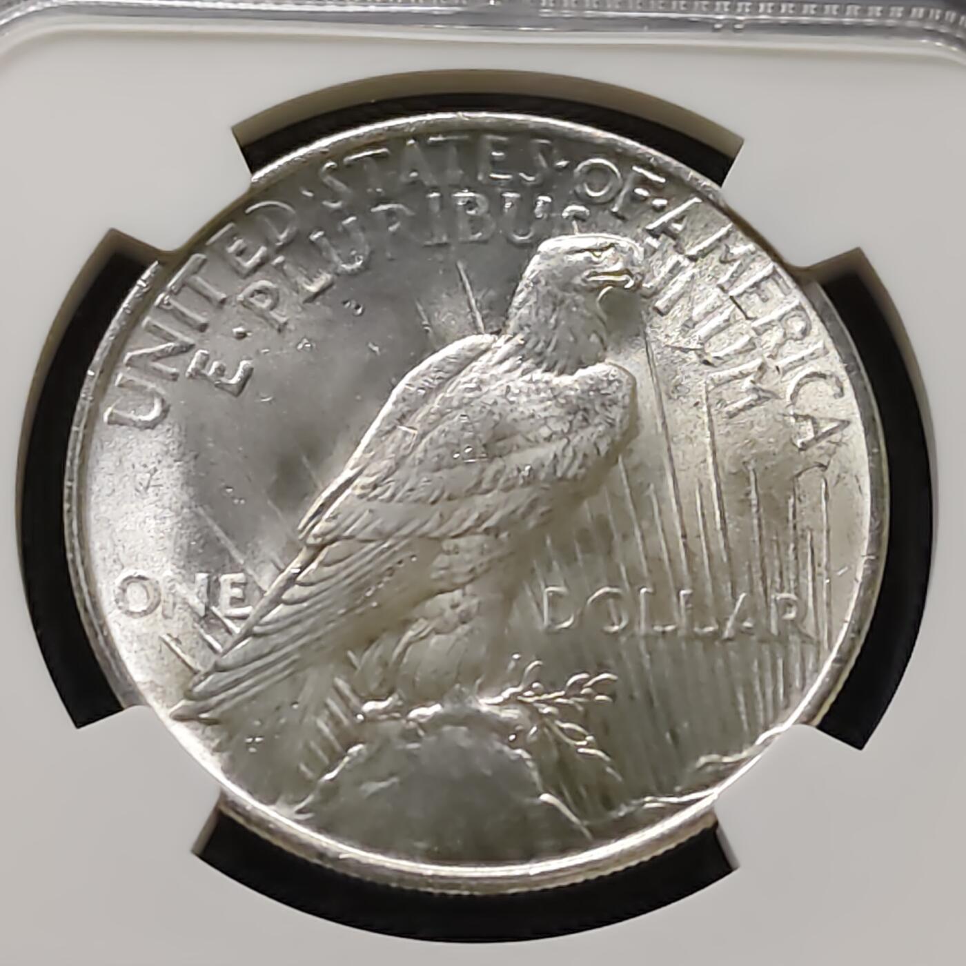 【全场包邮】纯粹捡漏拍487场（免费代拍第24场）