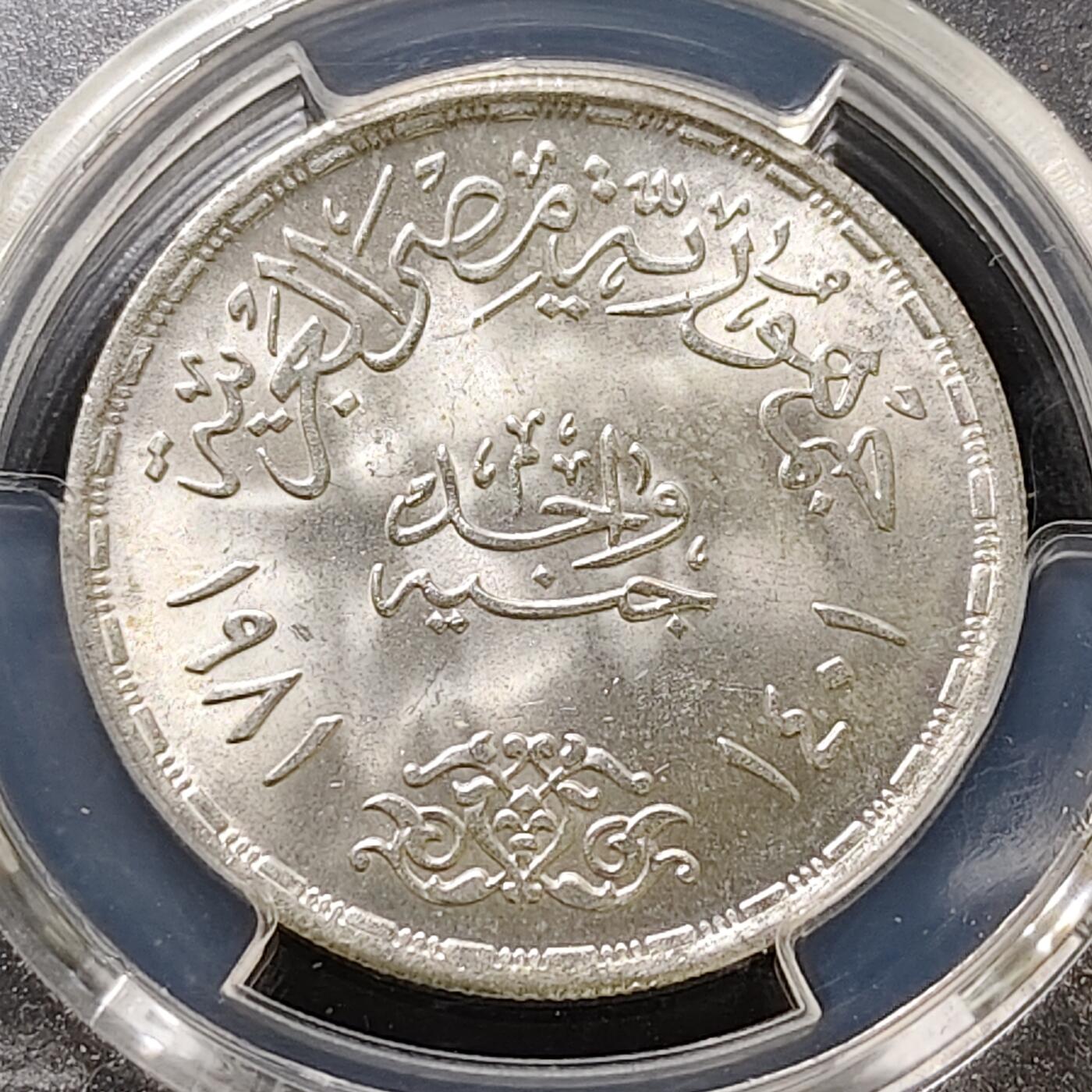 【全场包邮】纯粹捡漏拍487场（免费代拍第24场） 【收藏级】埃及1981年1镑FAO世界粮食日纪念银币-PCGS MS66（更高分仅3枚）