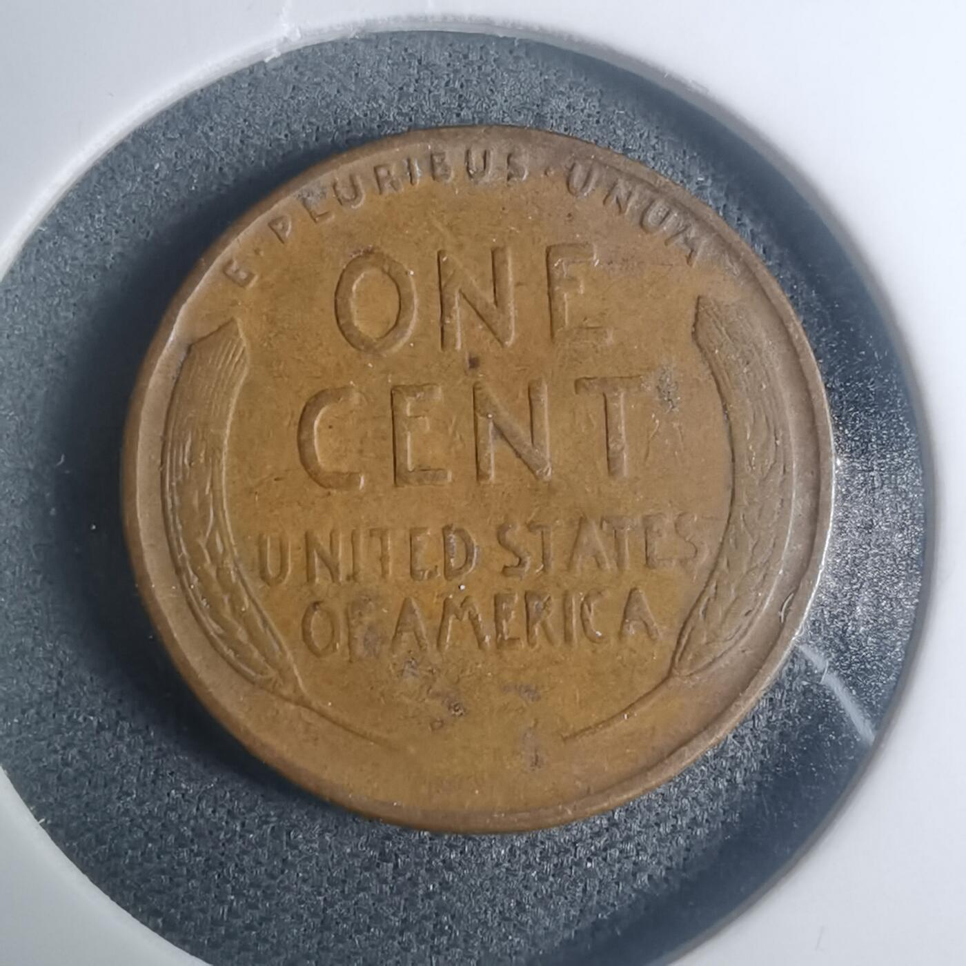 沼泽如烟--第930场