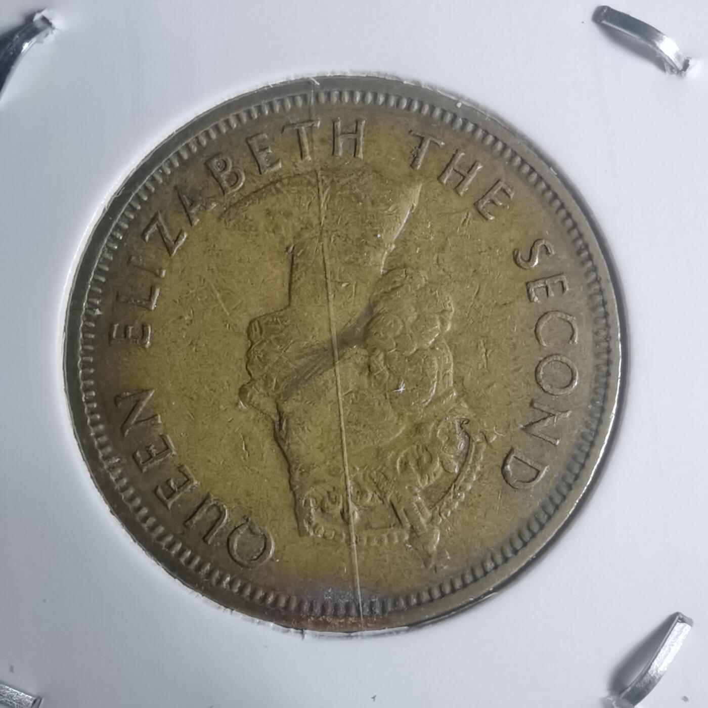 沼泽如烟--第930场