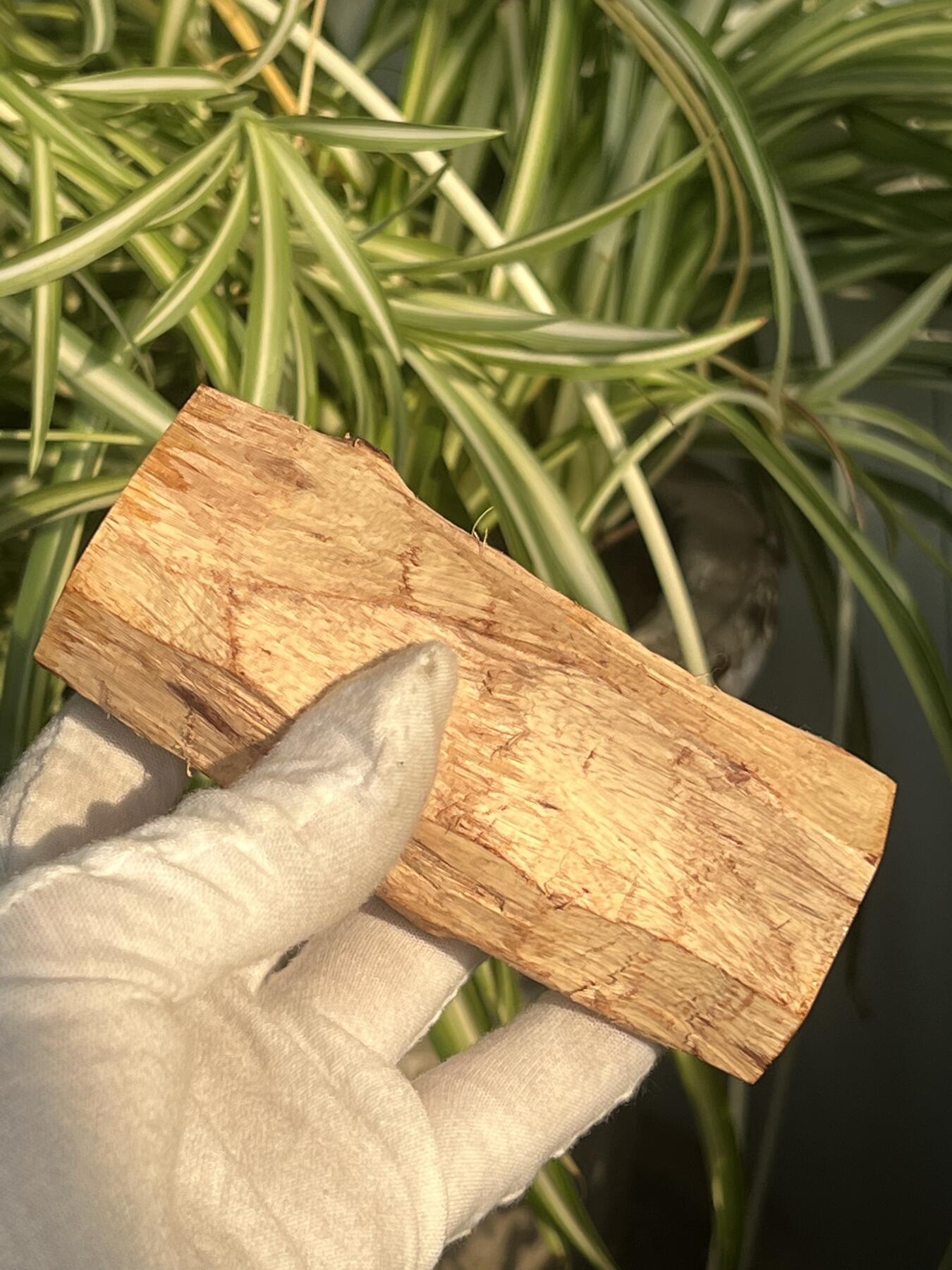 零元拍： 海南黄花梨油梨原料。120/46MM