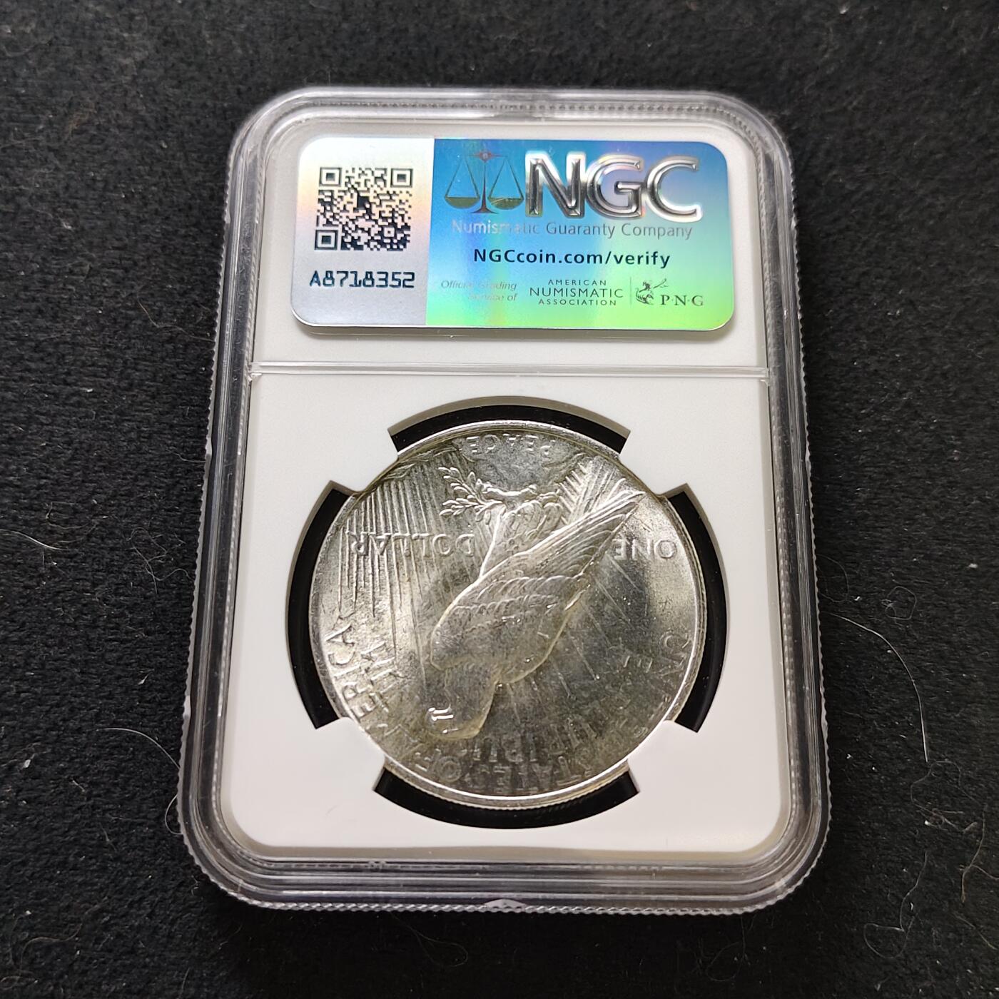 【全场包邮】纯粹捡漏拍487场（免费代拍第24场）