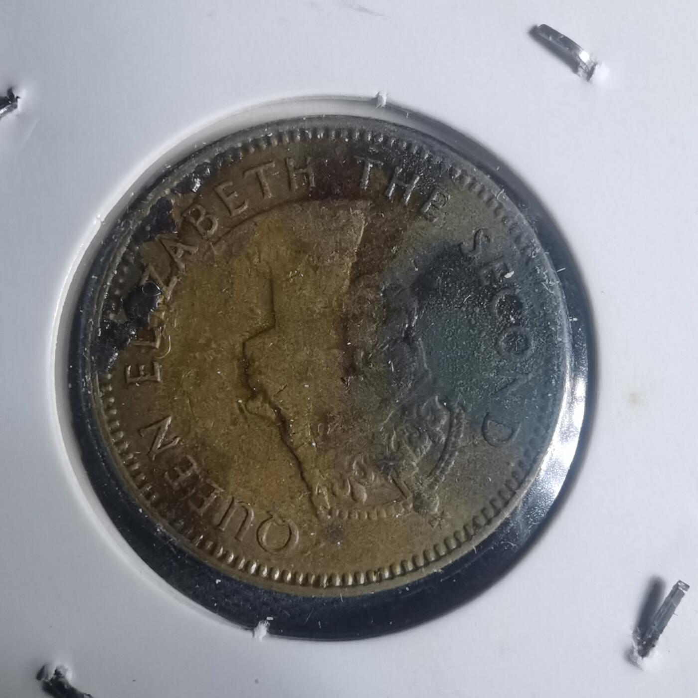 沼泽如烟--第930场