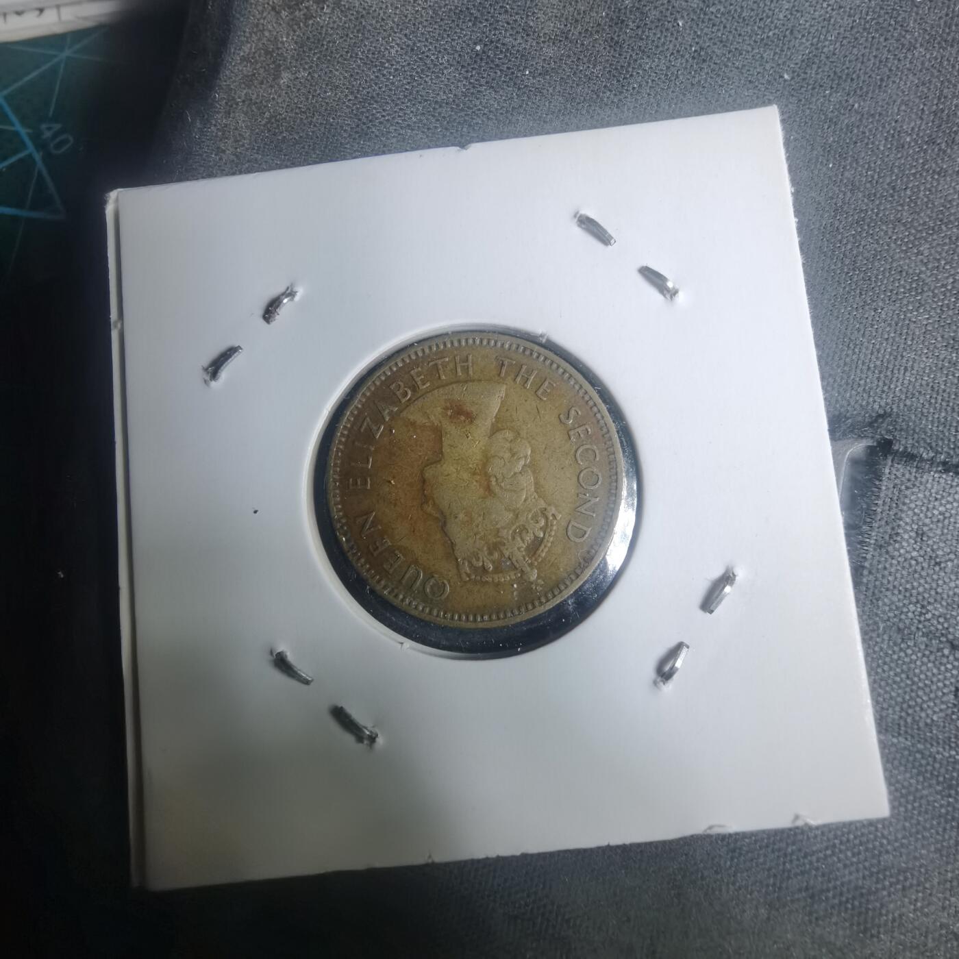 沼泽如烟--第930场