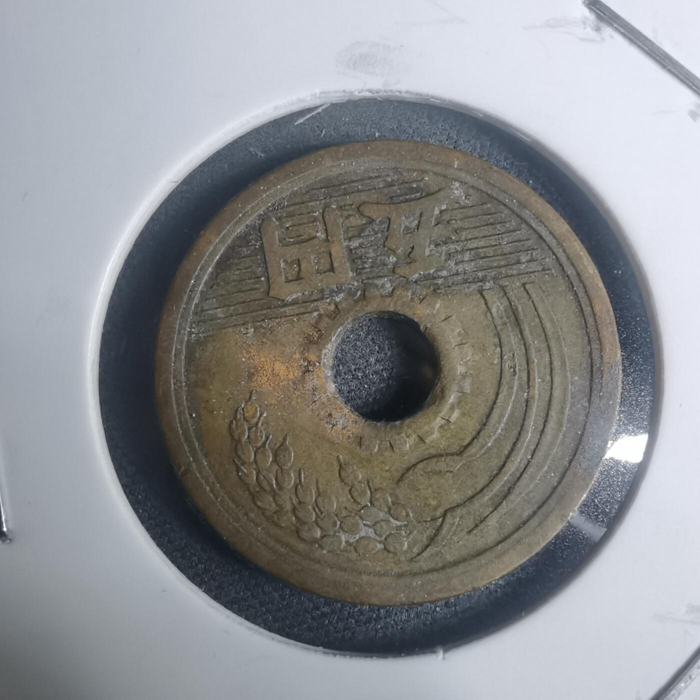 沼泽如烟--第930场