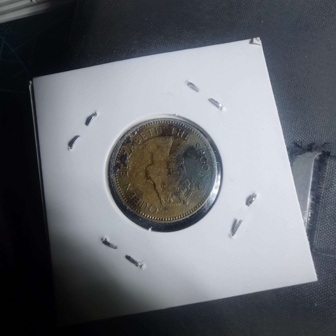 沼泽如烟--第930场