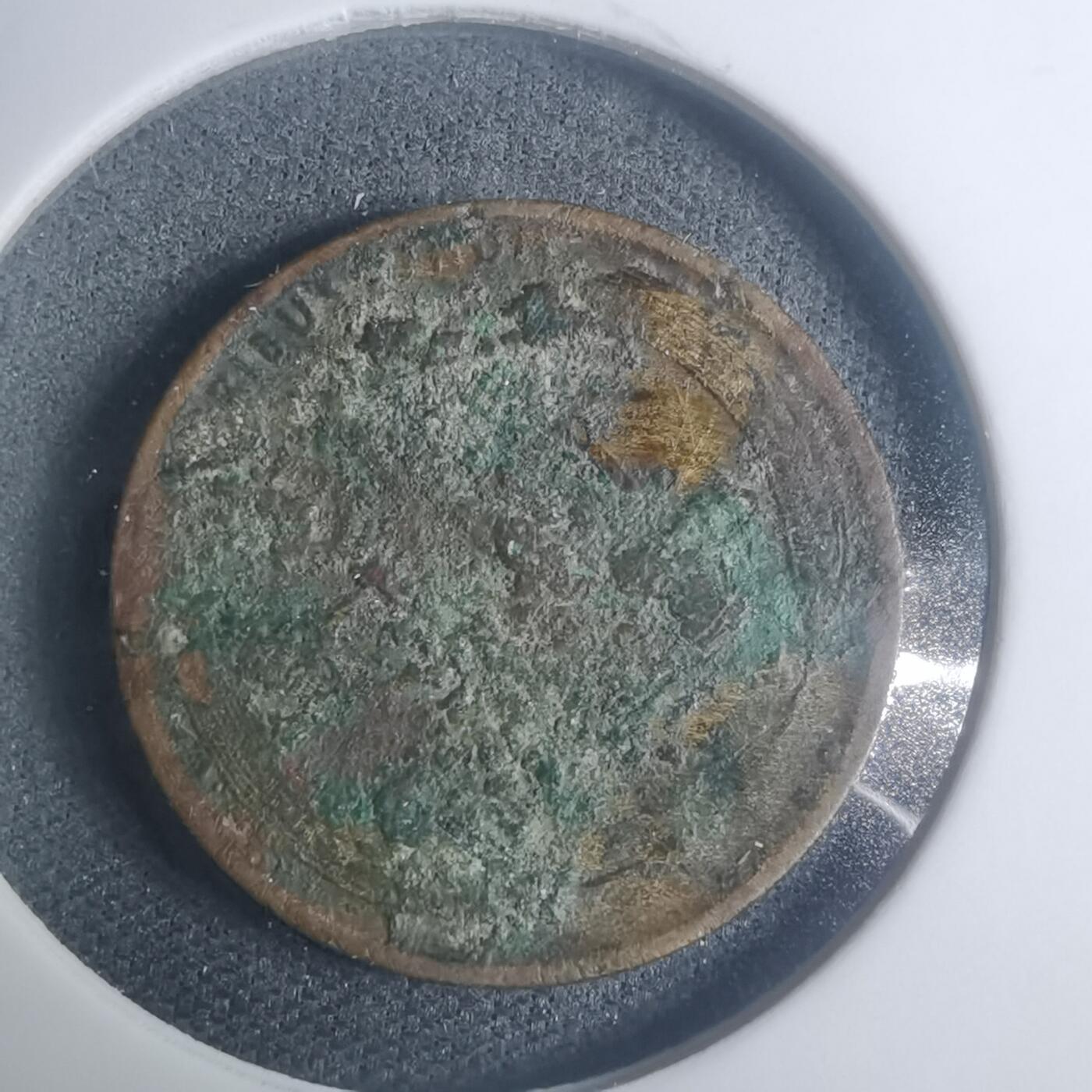 沼泽如烟--第930场