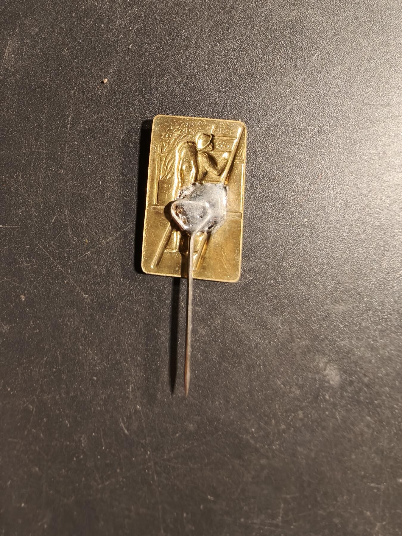 老王徽章第169期 法国徒步行军纪念针插