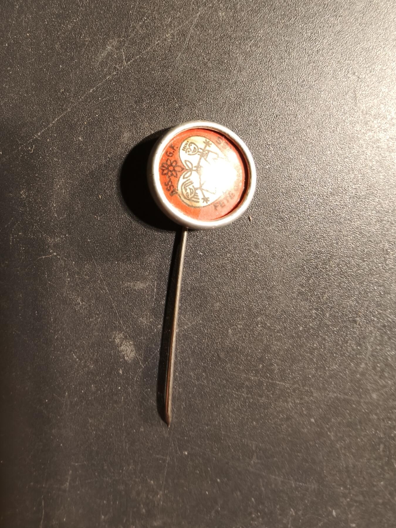 老王徽章第169期 法国针插