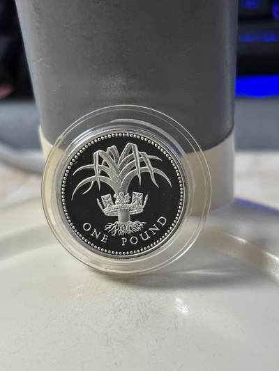 第185期拍卖 - 英国1985年 王冠系列-韮葱和王冠（威尔士）1英镑精制加厚纪念银币 19克.925银 发行量：15000枚